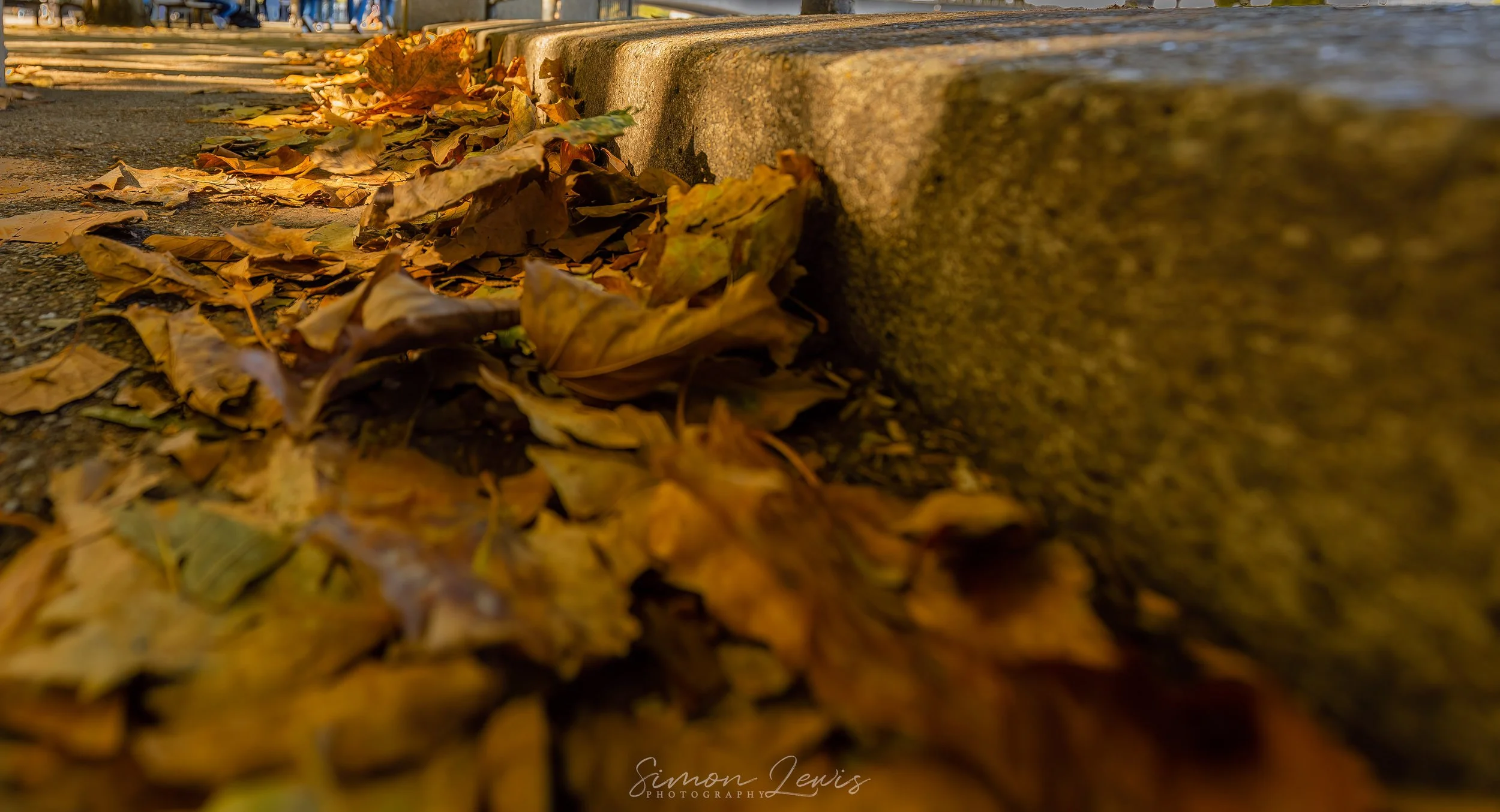 _28A8825-Edit.jpg