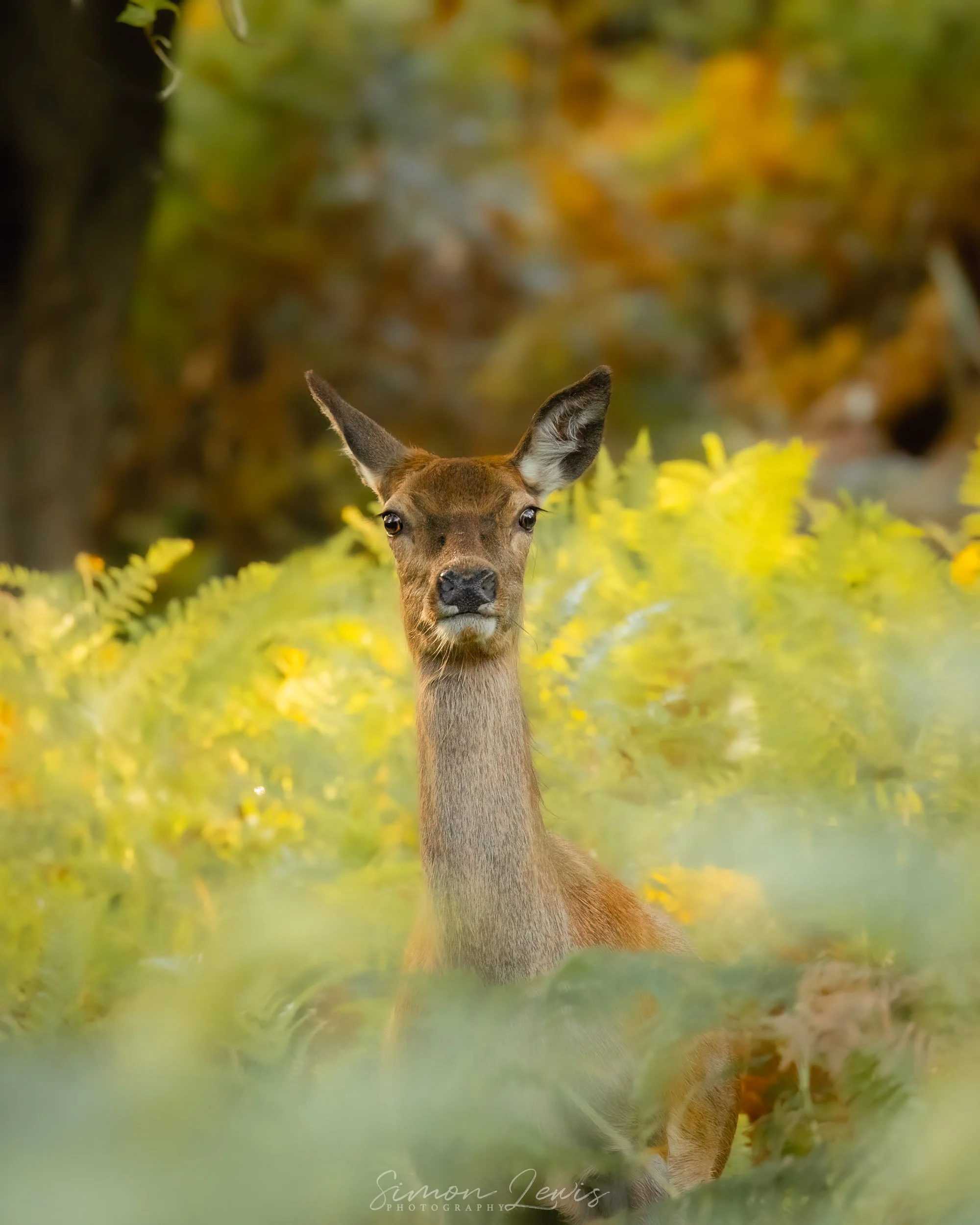 _28A8974-Edit.jpg