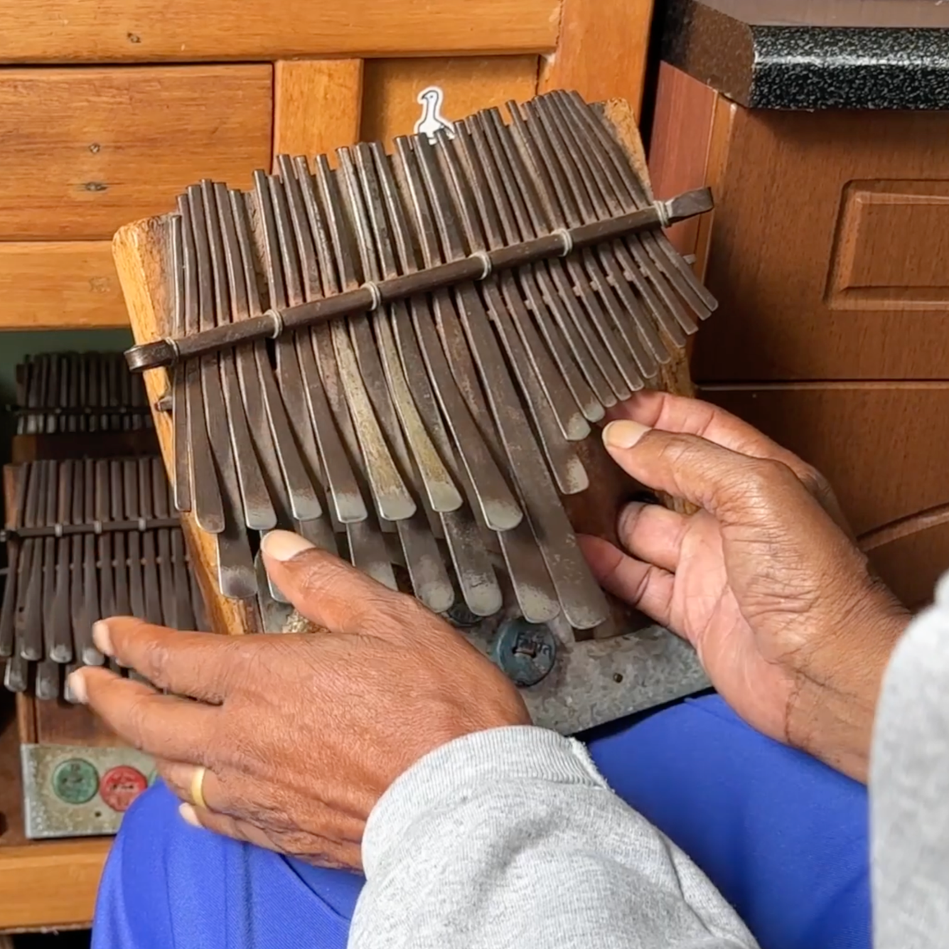 Tute Chigamba: Chipembere - Mbira Video Lessons
