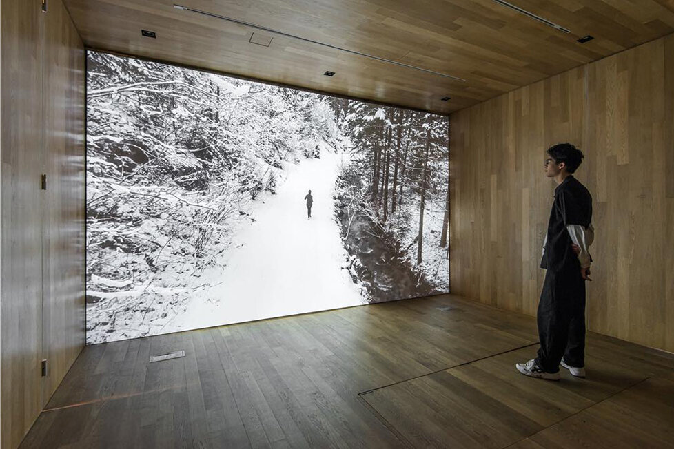 Forest_Installation_view.jpg