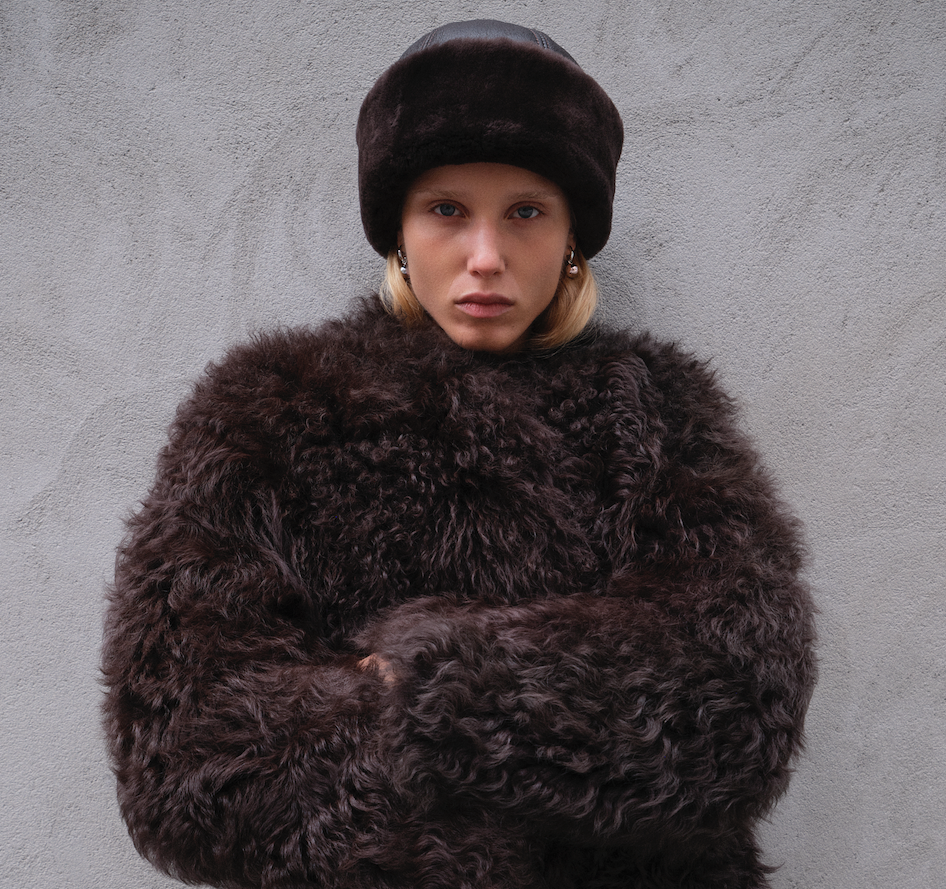 Fall Winter Spring Summer