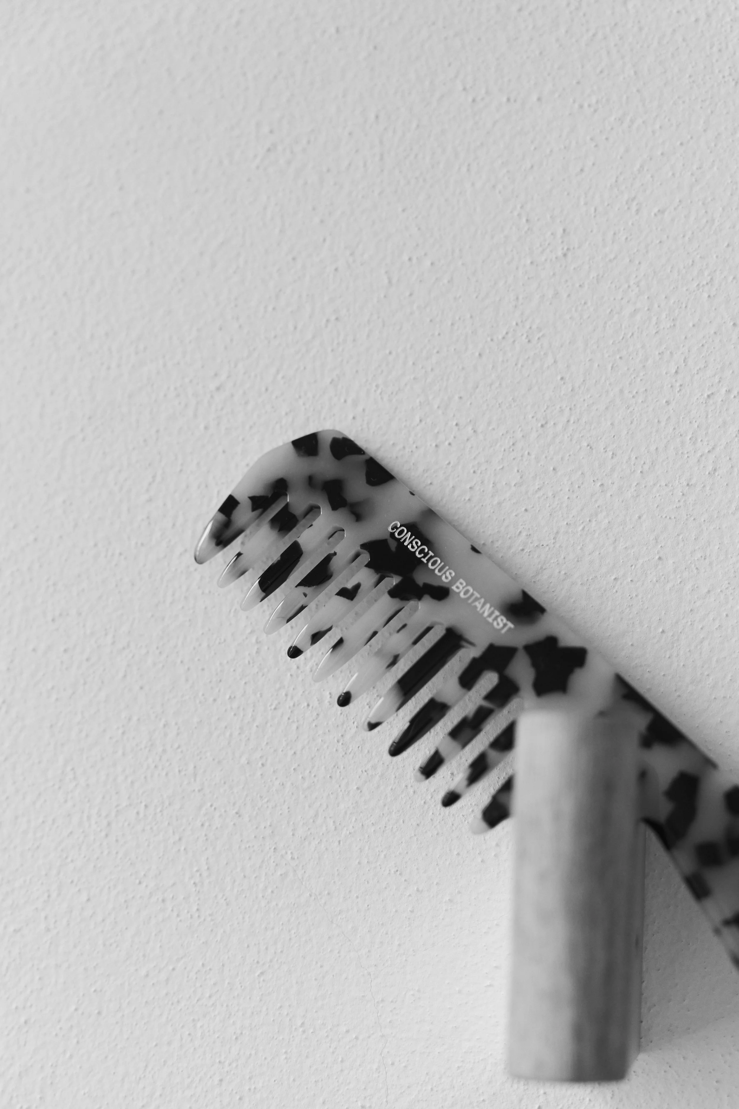 Conscious_Botanist_18.050224 3.jpg