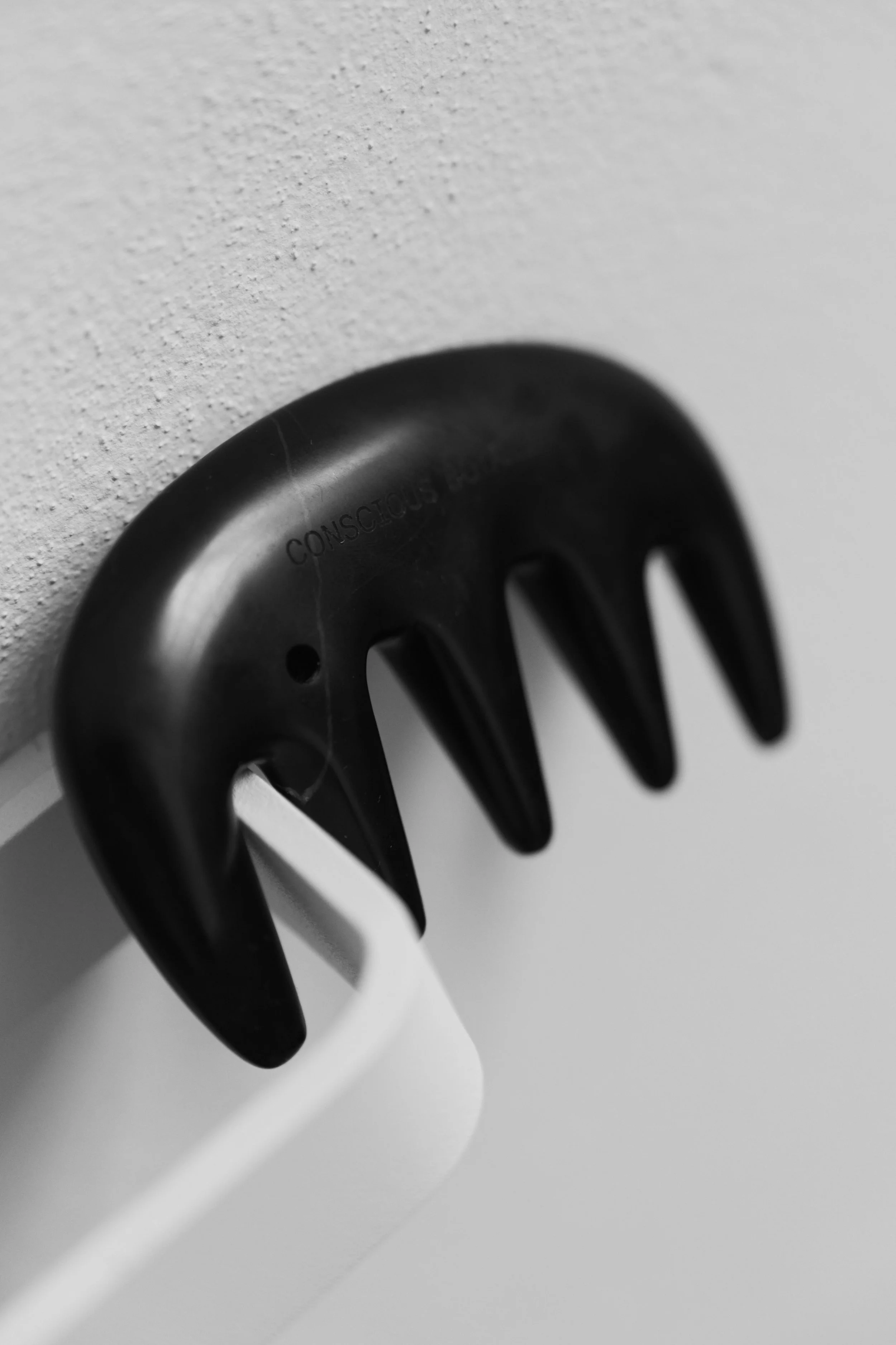 Conscious_Botanist_18.050197 3.jpg