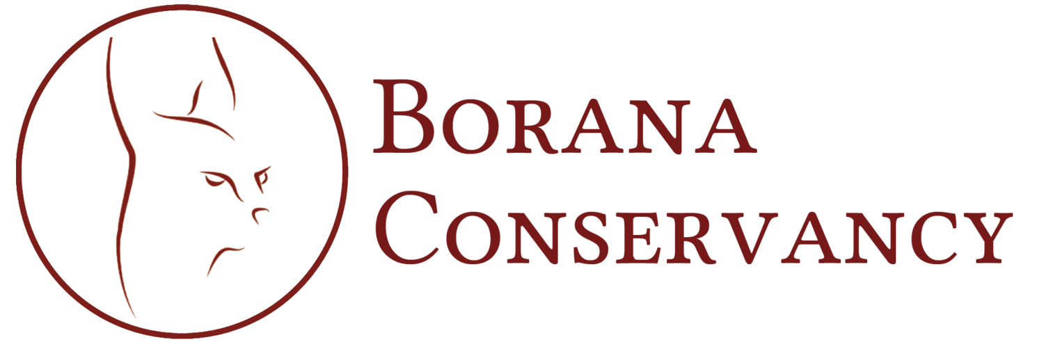 Borana Conservancy