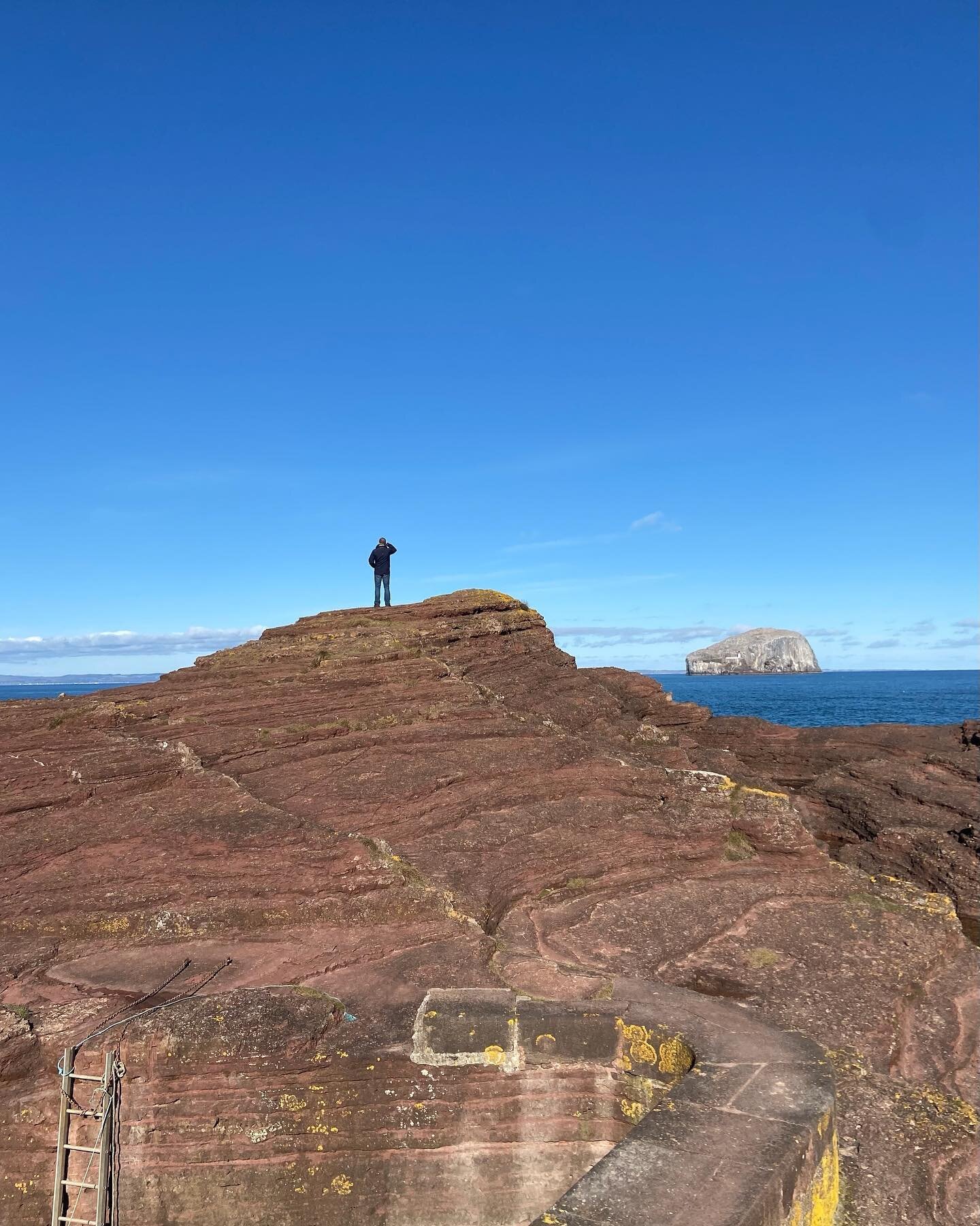 Watching out for summer, not far away now I think?
Seacliff Harbour still amazes me every time we go there. Hard to believe that this is my husband&rsquo;s office, with that view of Tantallon Castle and the Bass Rock. Feels like working in an industr
