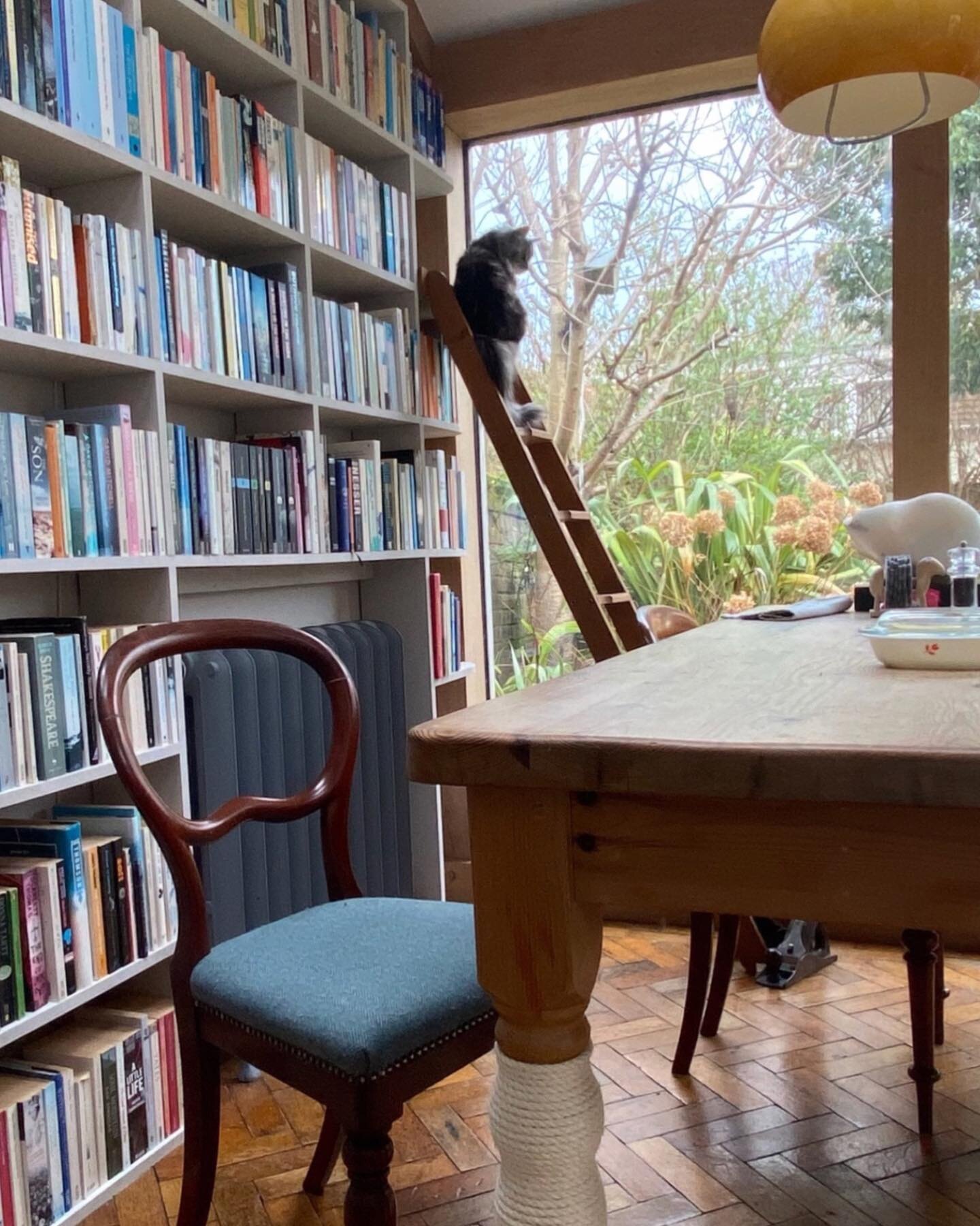 Weekends are for relaxing and watching the birds (and hoping the Easter Bunny has been).
The cat likes to nap on one of the bookshelves, though annoyingly in the letter G 🙀📚
.
.
.
.
.
.
 #bookcollector #homelibrary #fortheloveofbooks #bookshelfie #