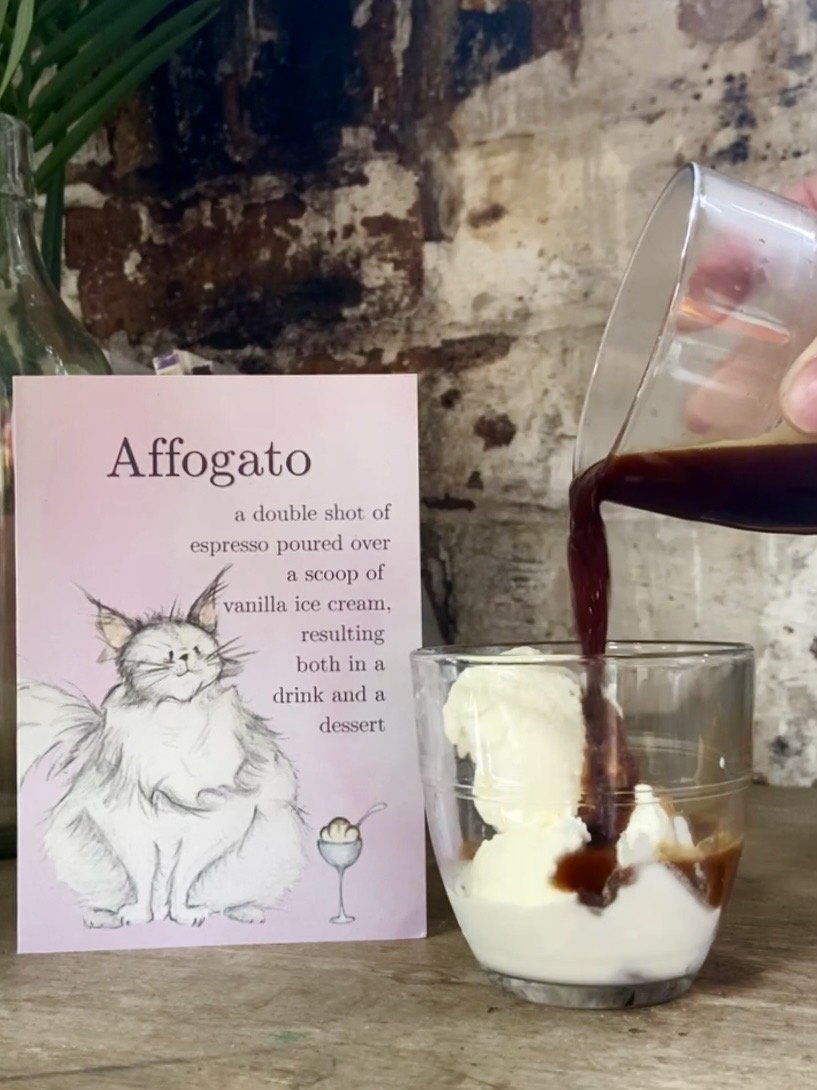 Affogato Coffee explained by Cats & Dogs