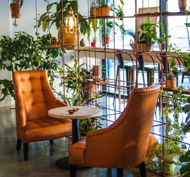 These cozy chairs surrounded by greens offer a perfect haven to enjoy your coffee moments ☕ 

#oliveandsalt #furniture #interiordesign #interiorinspo #designchair #elegance #restaurant #gastronomie #einrichtung #mixedinterior #restaurantfurniture #fu