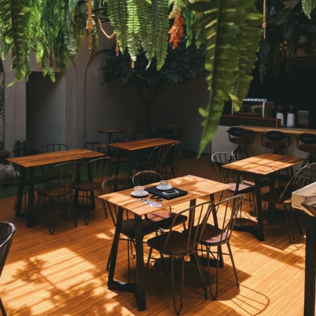 The urban jungle 🌿 Ferns add a touch of natural elegance. 

#oliveandsalt #furniture #interiordesign #interiorinspo #designchair #elegance #restaurant #gastronomie #einrichtung #mixedinterior #restaurantfurniture #furnitureinspiration #inneneinricht