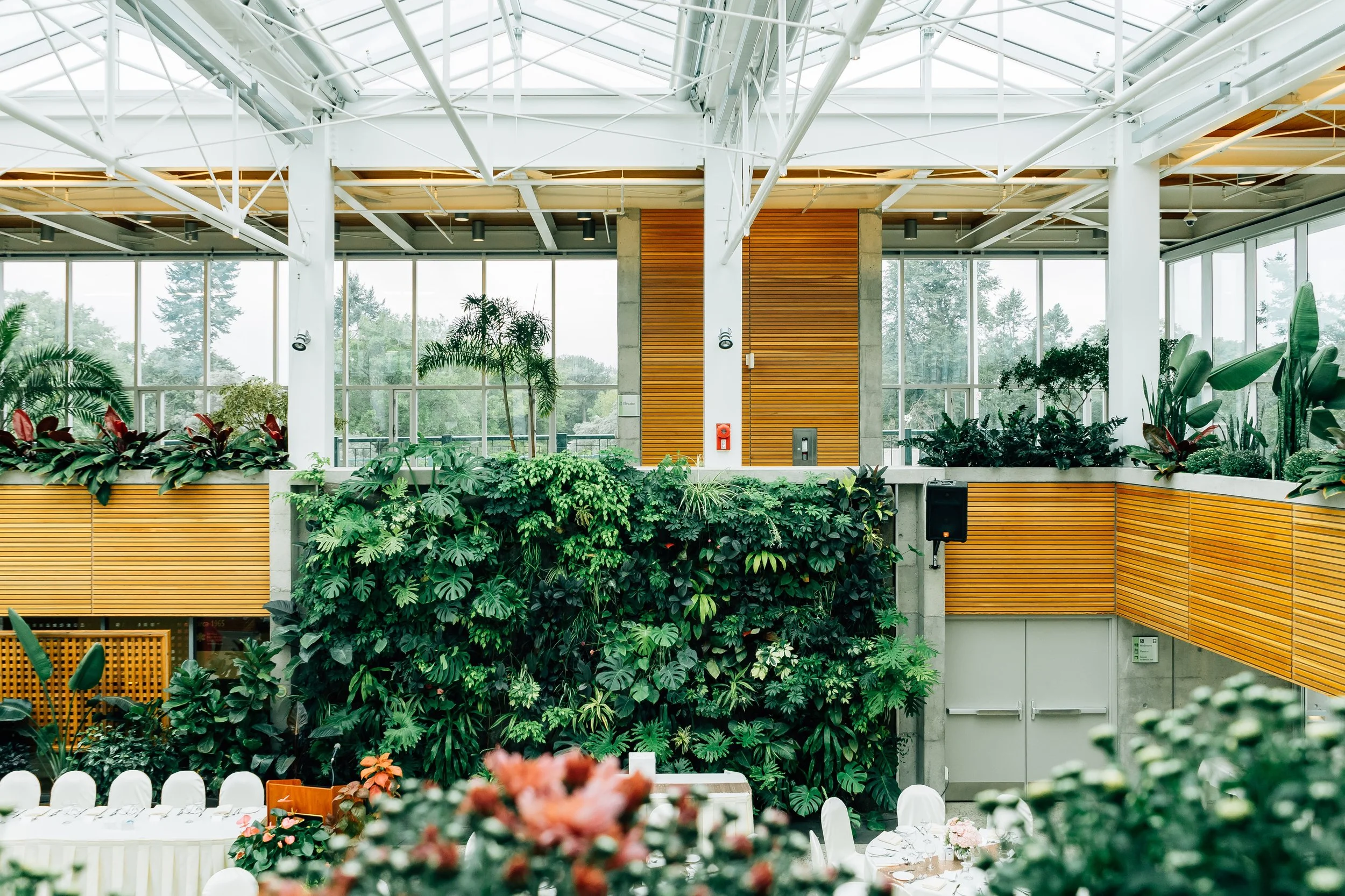 Go Green – mit living walls!
