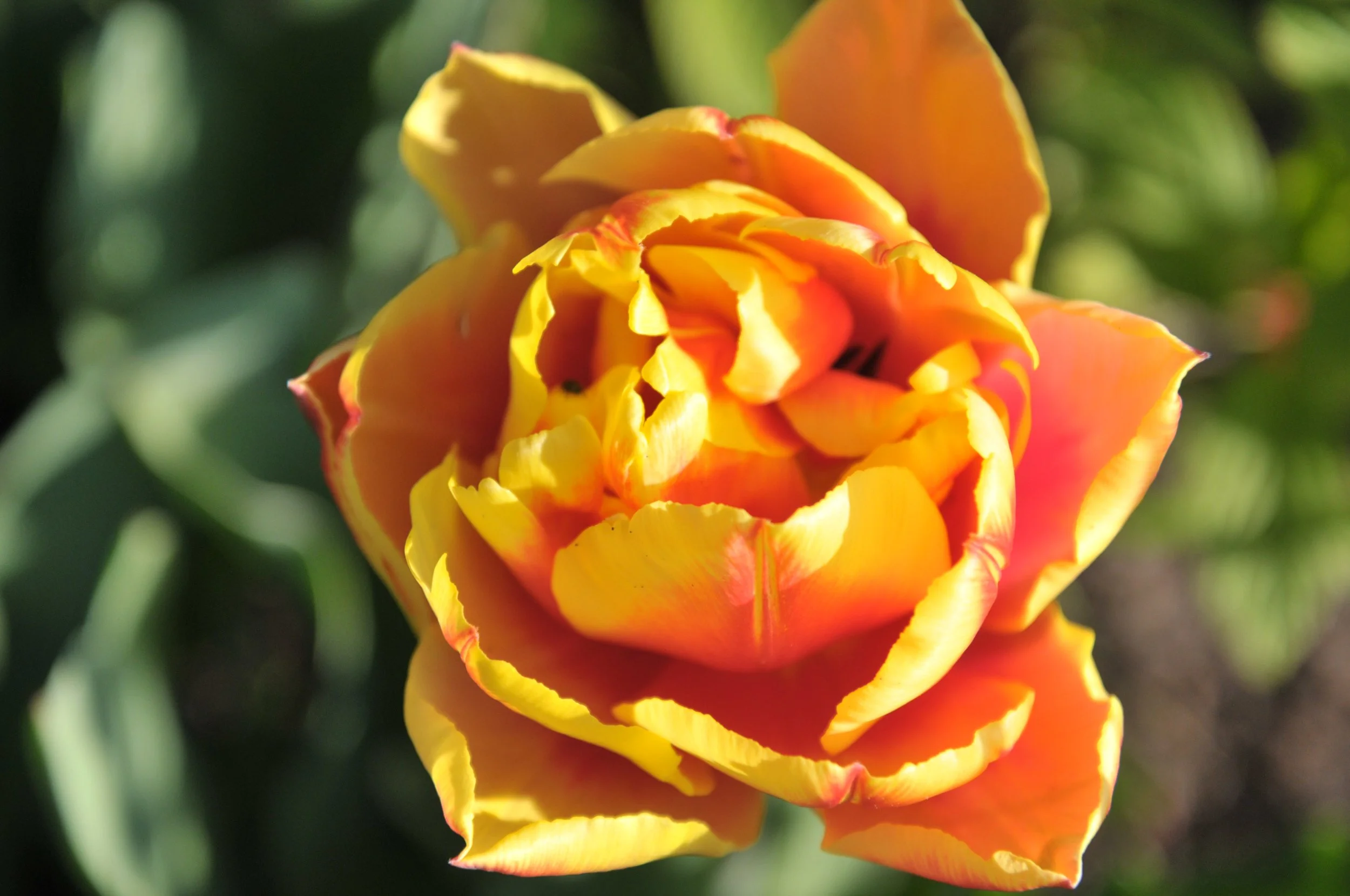 Aktiv-Geniessen Frühling 2027