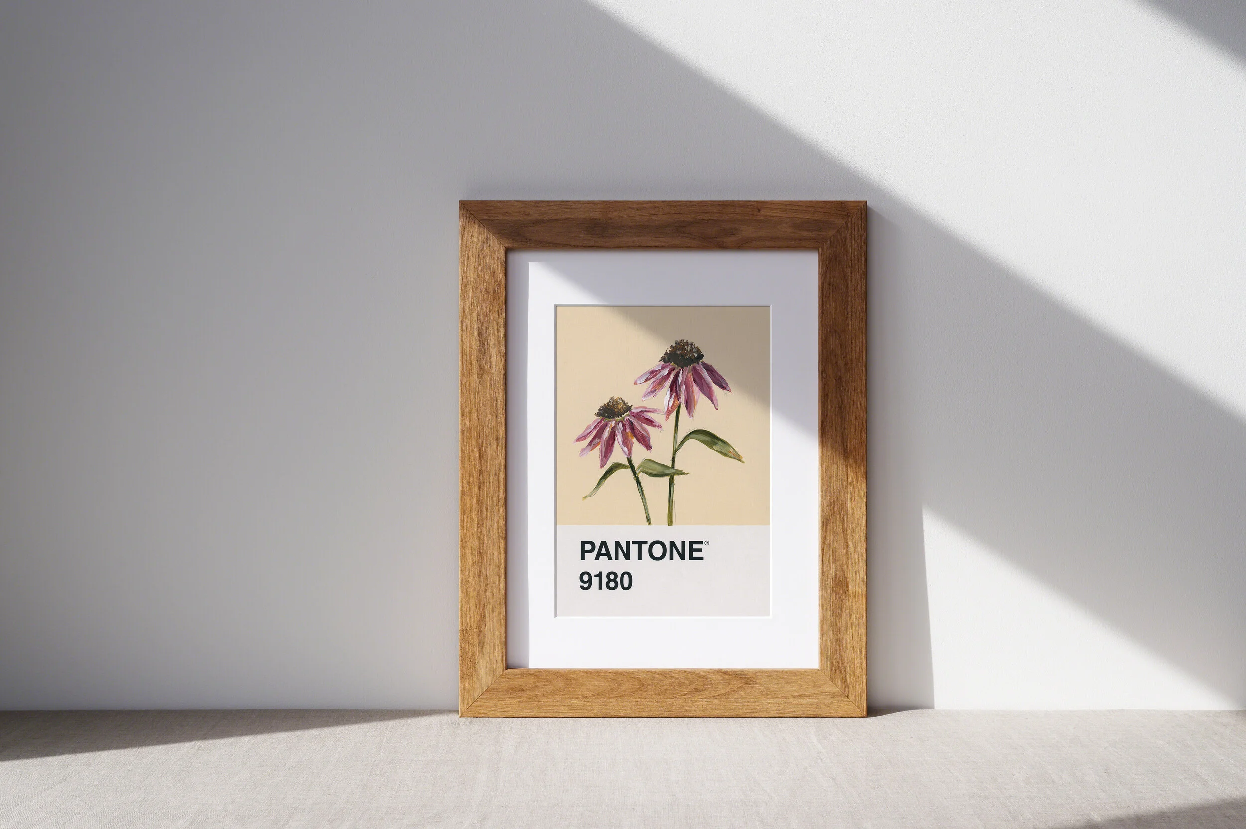 Day 60 - Echinacea on pale yellow - Print