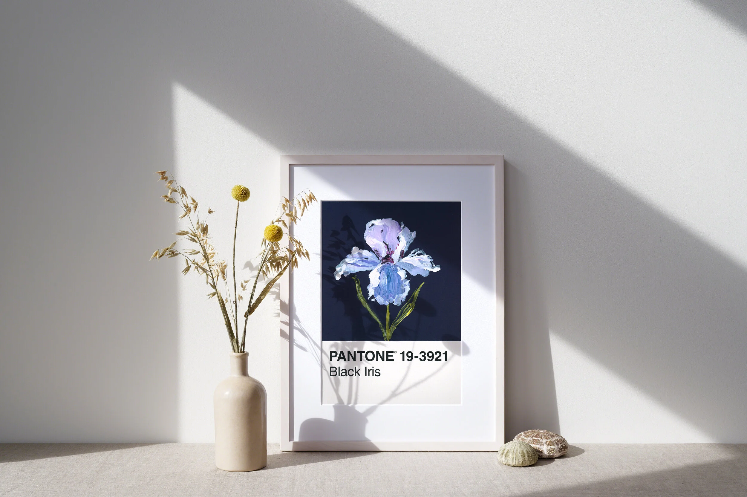 Day 78 - White Iris on navy blue - Print