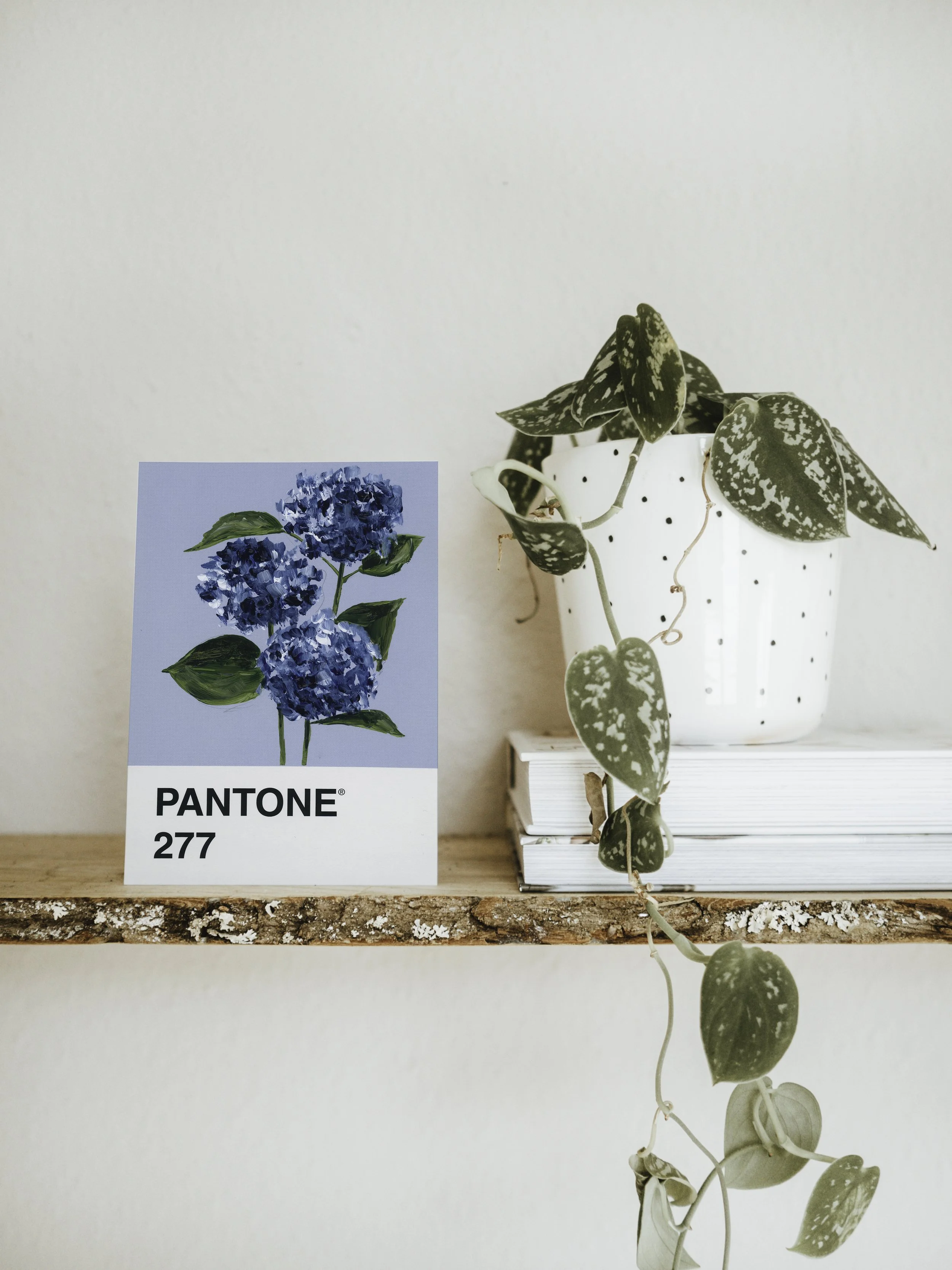 Day 31 - Blue Hydrangea (print)