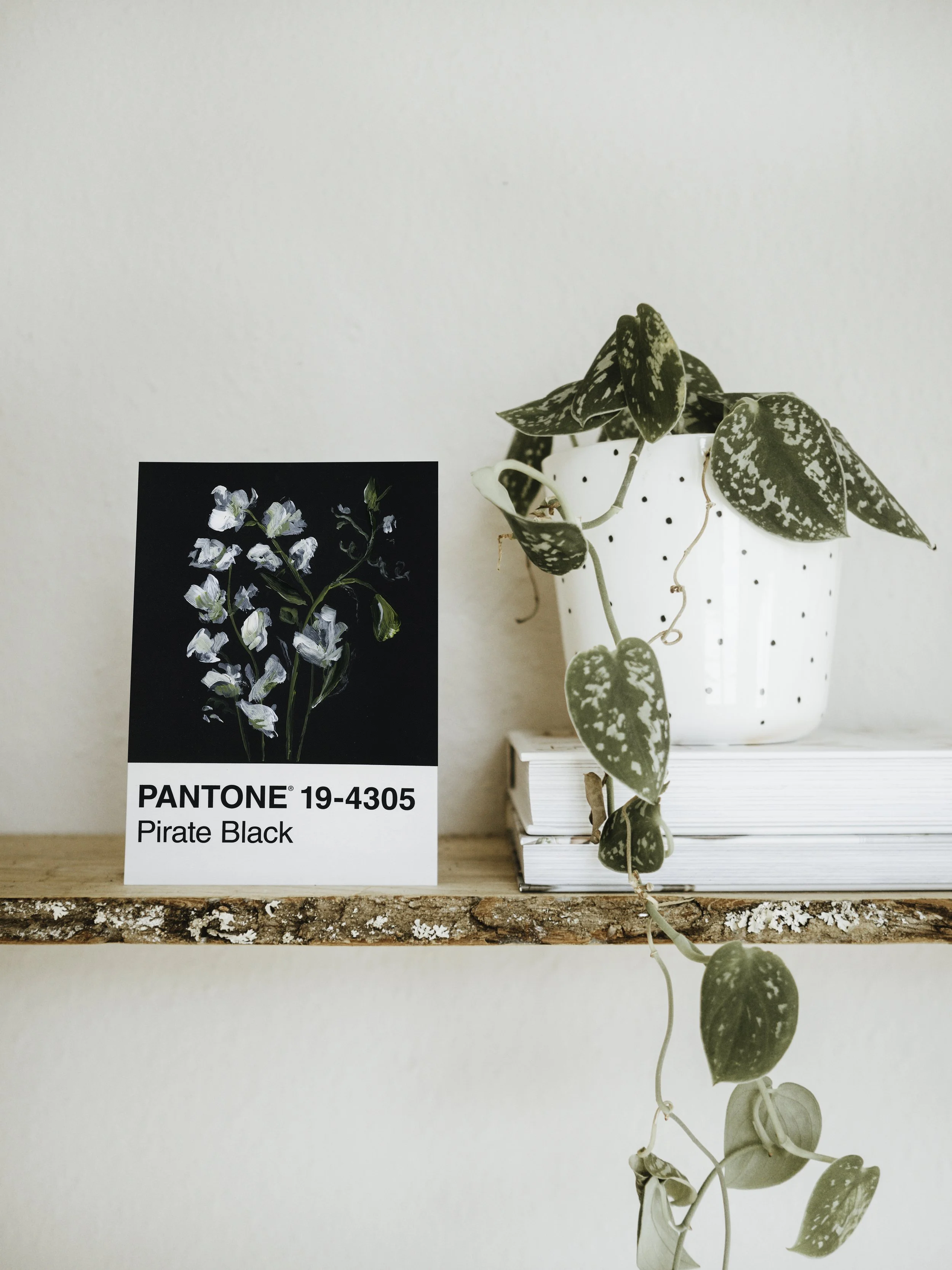 Day 33 - Black Sweetpeas (print)