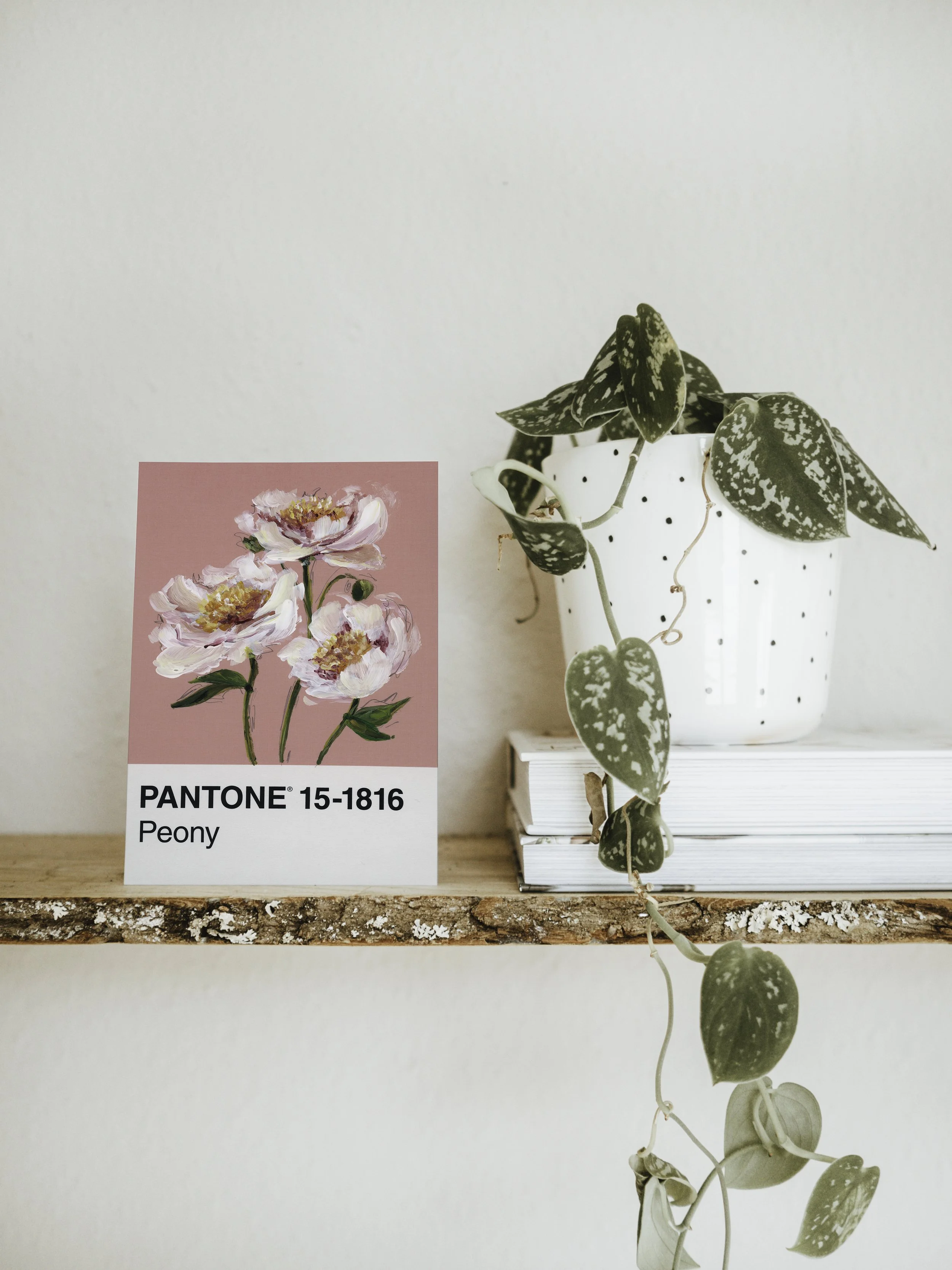 Day 40 - Pink Peonies (print)