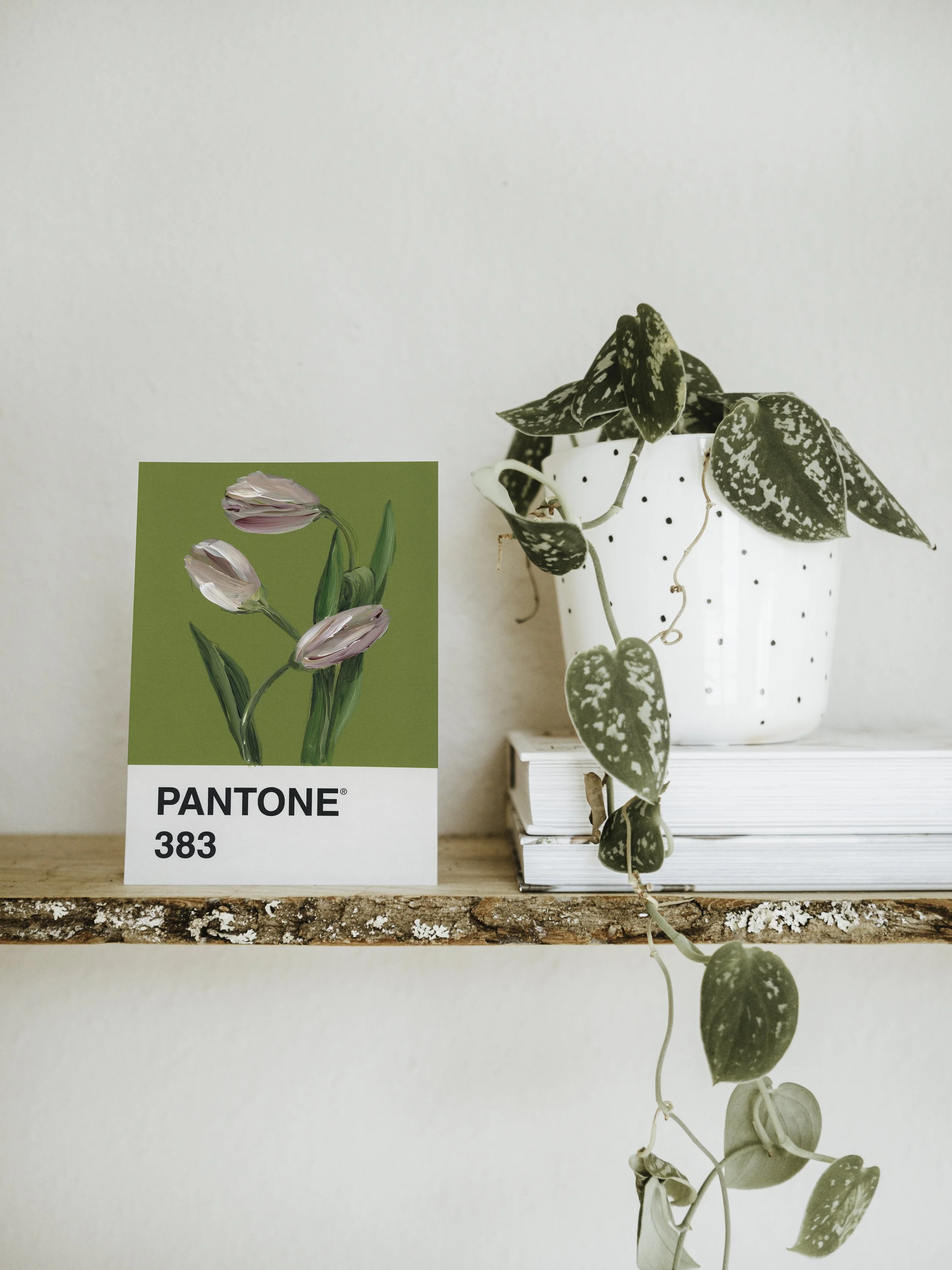 Day 48 - Green and White Tulips (print)