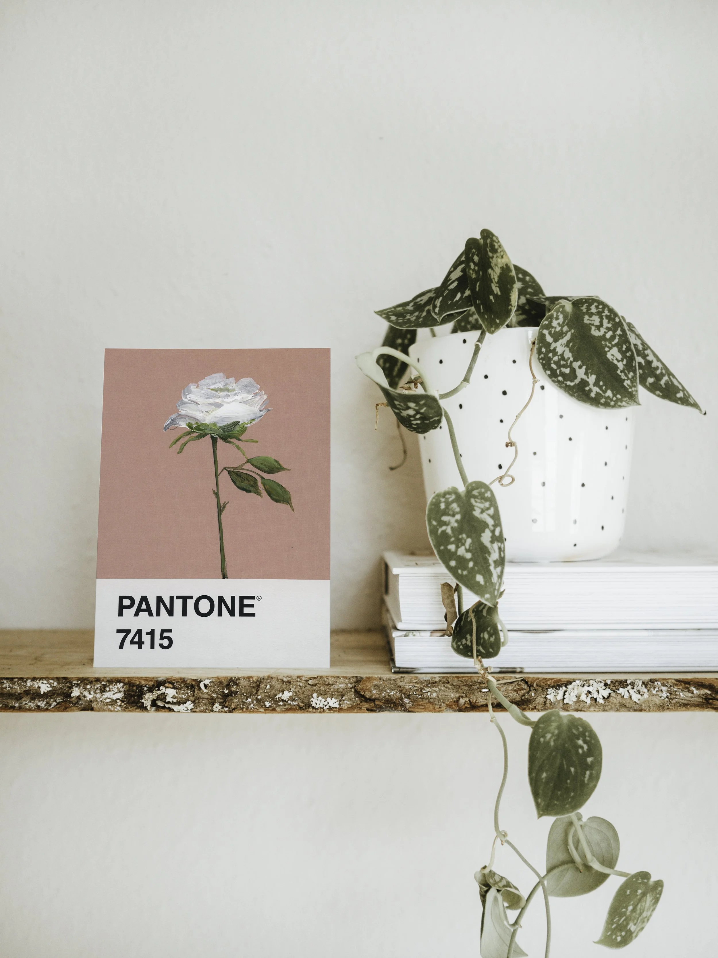 Day 52 - Standing Tall Rose (print)