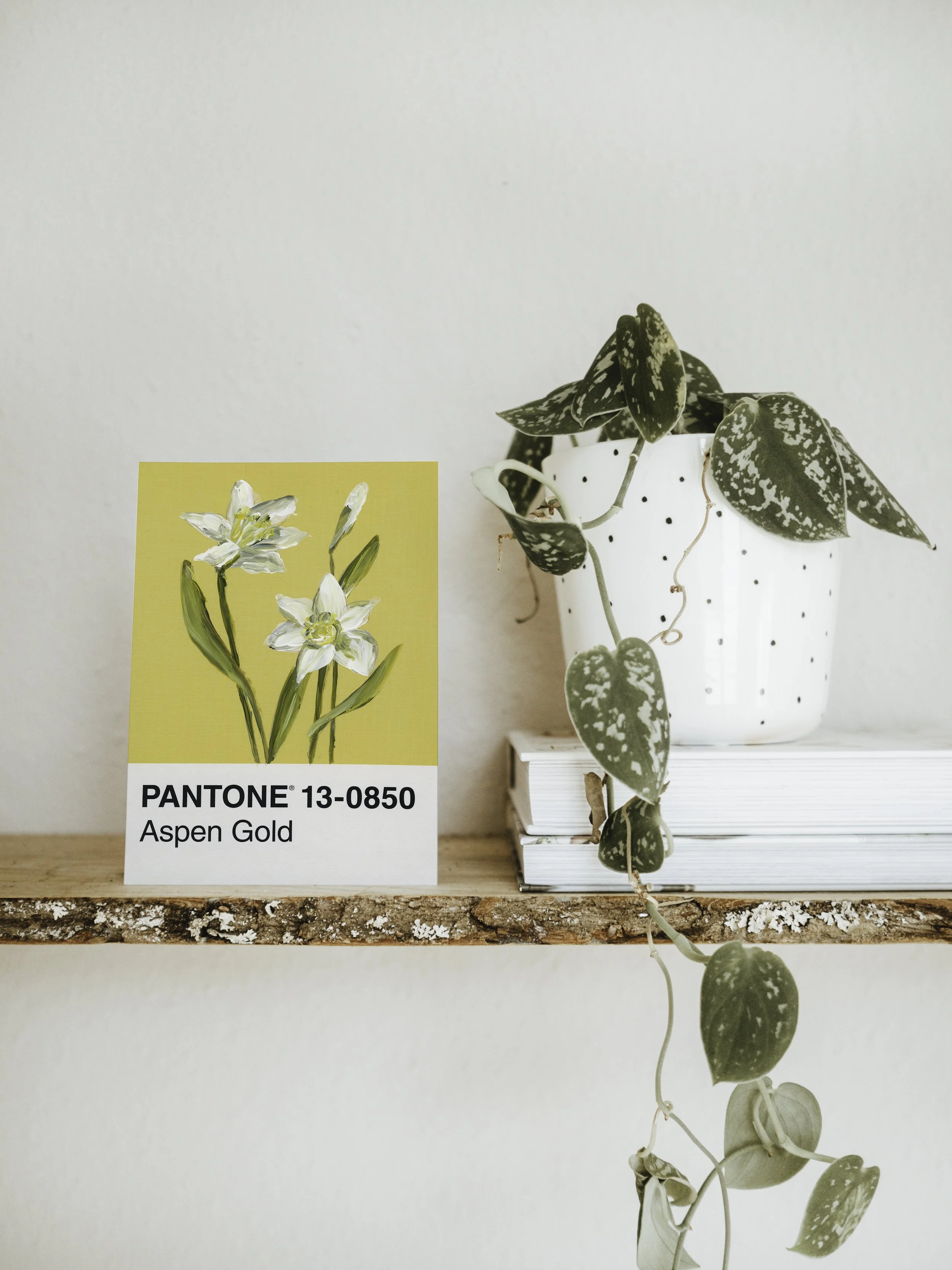 Day 64 - Yellow Daffodils  (print)