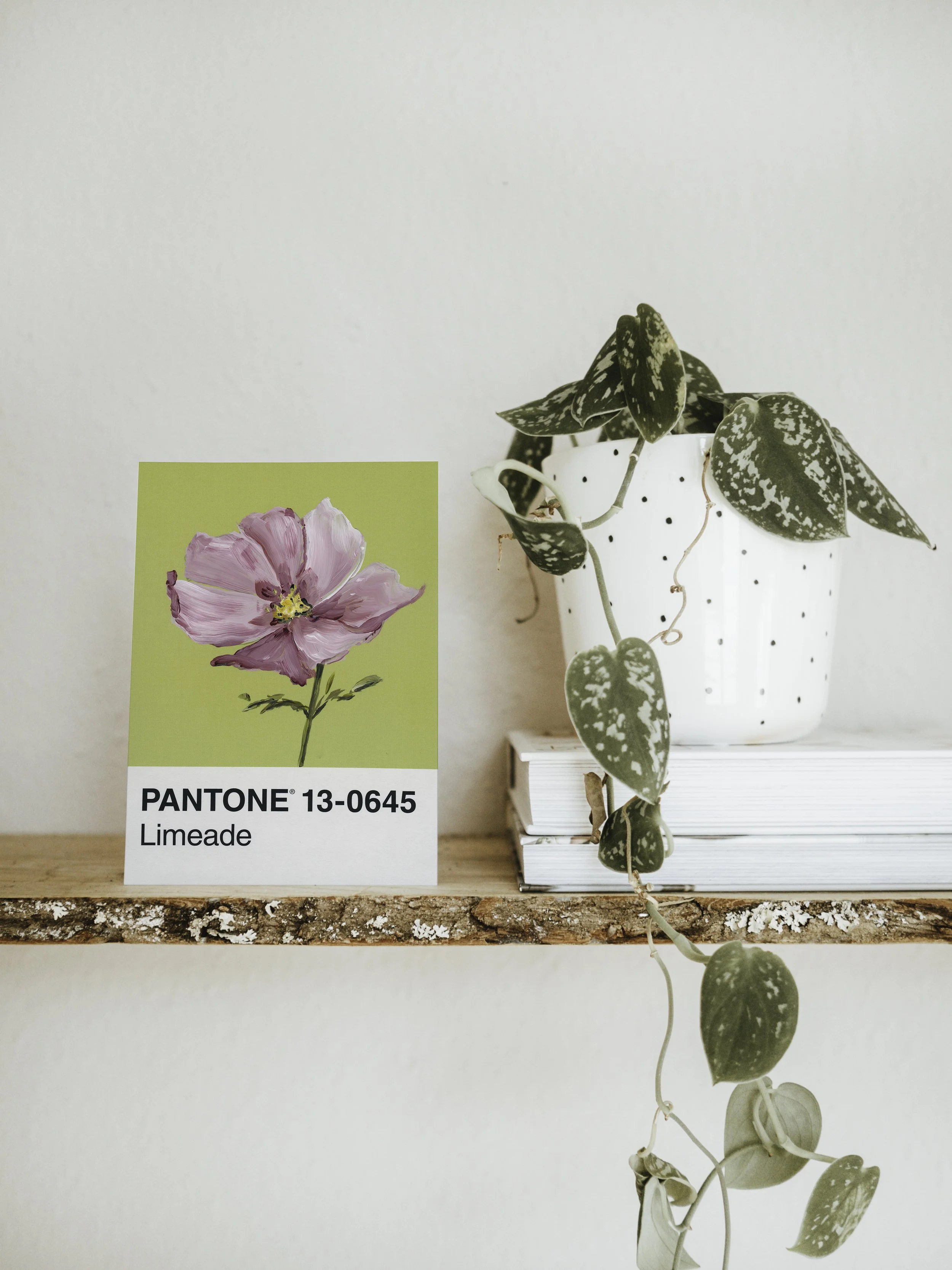 Day 89 - Pink Cosmo (print)