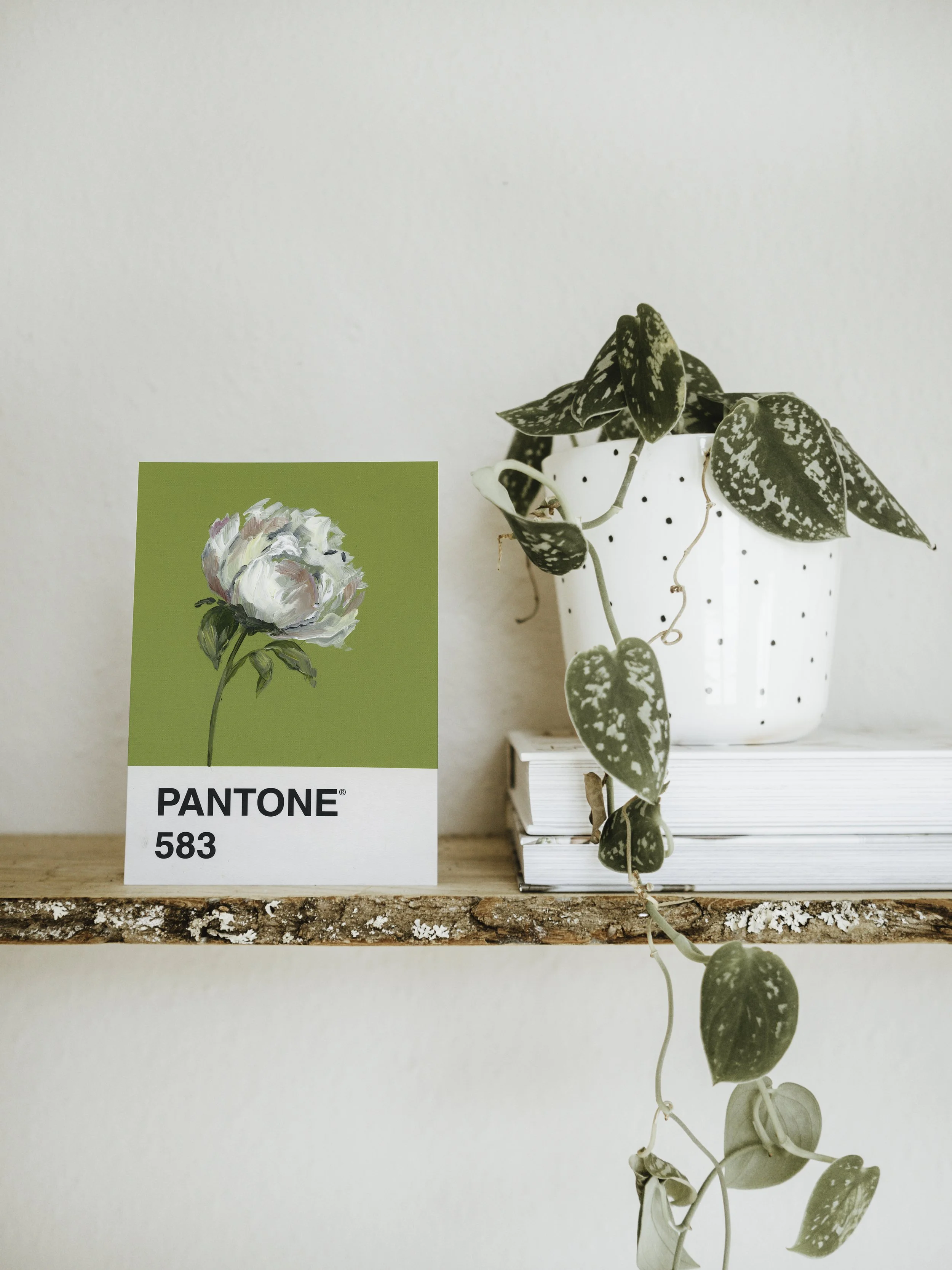 Day 96 - White on Green Peony (print)