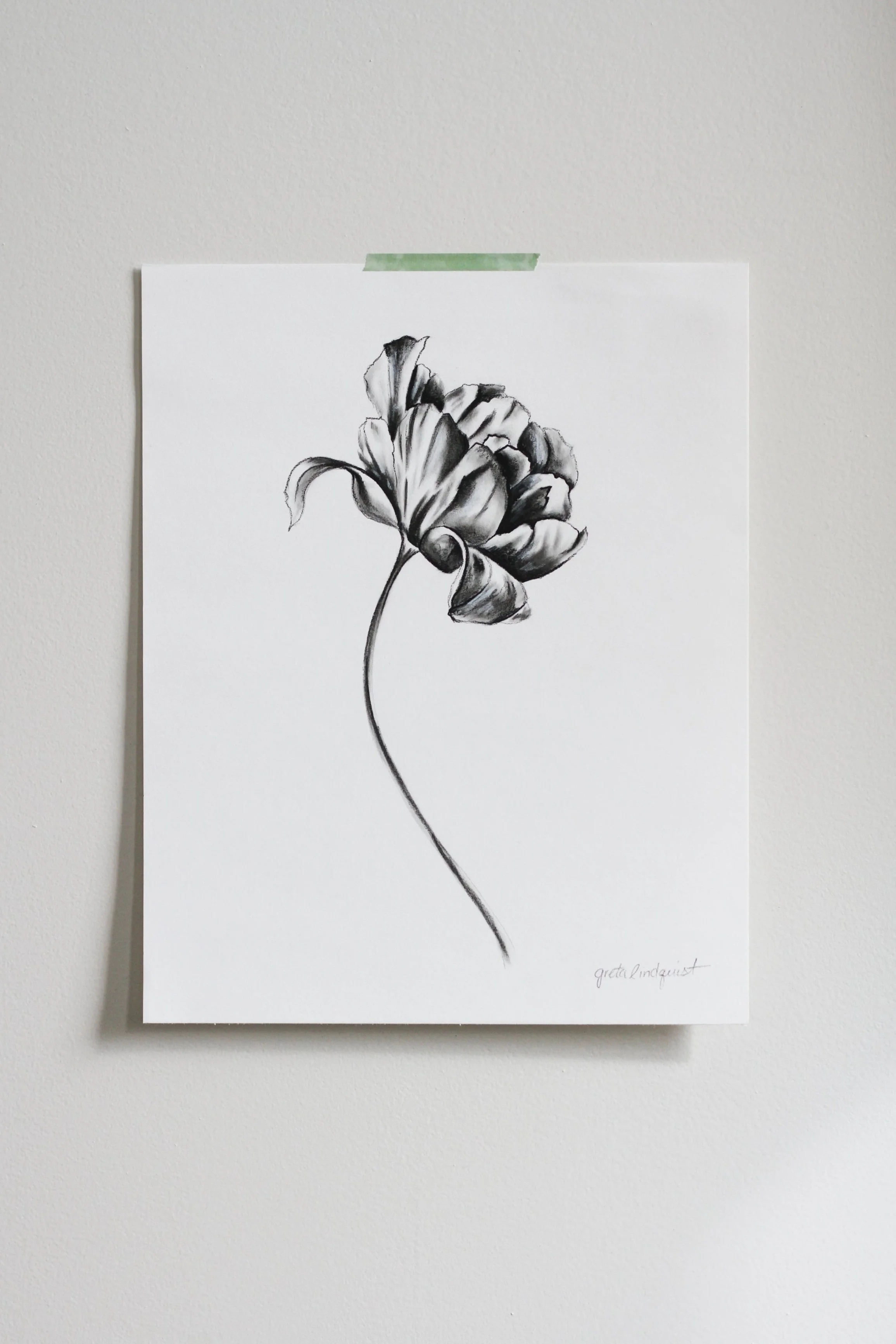 Peony - 8x10" vertical charcoal on paper