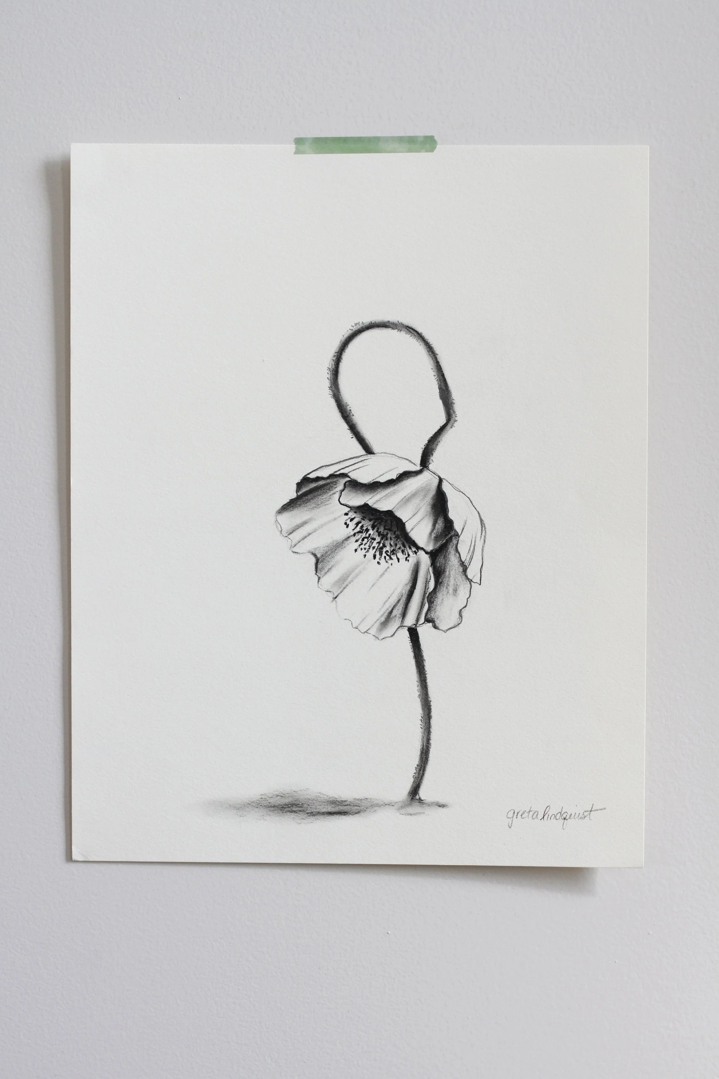 Poppy - 8x10" vertical charcoal on paper