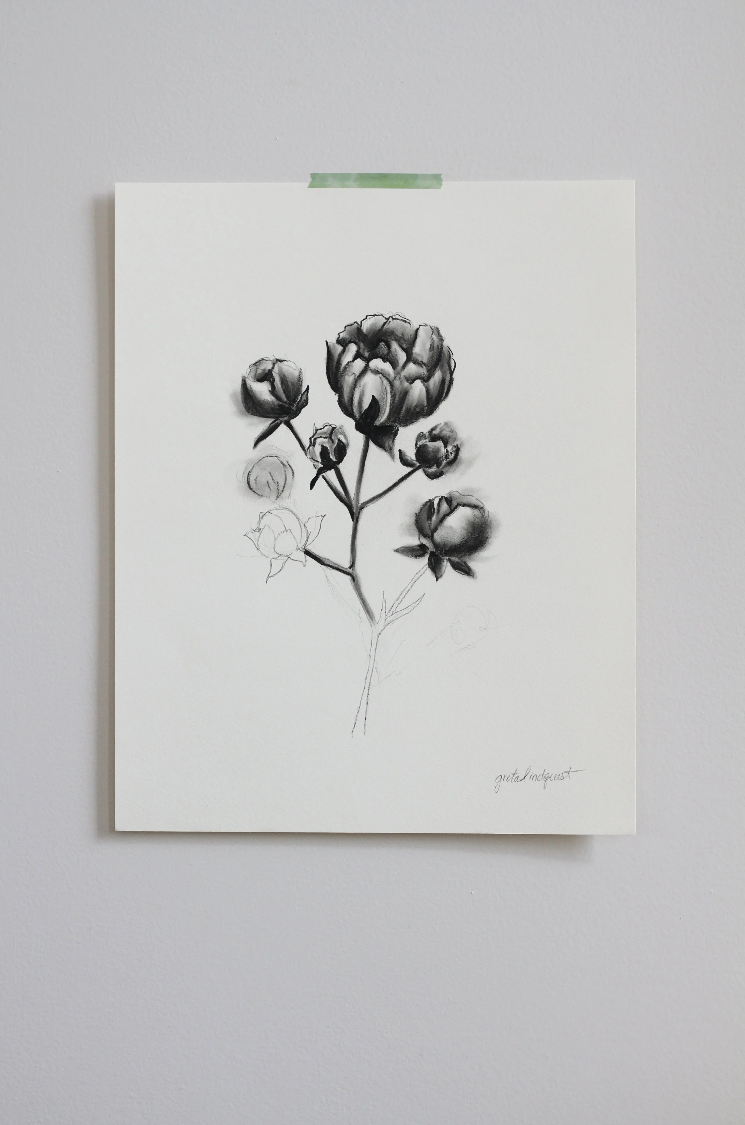 Peony Cluster - 8x10" vertical charcoal on paper