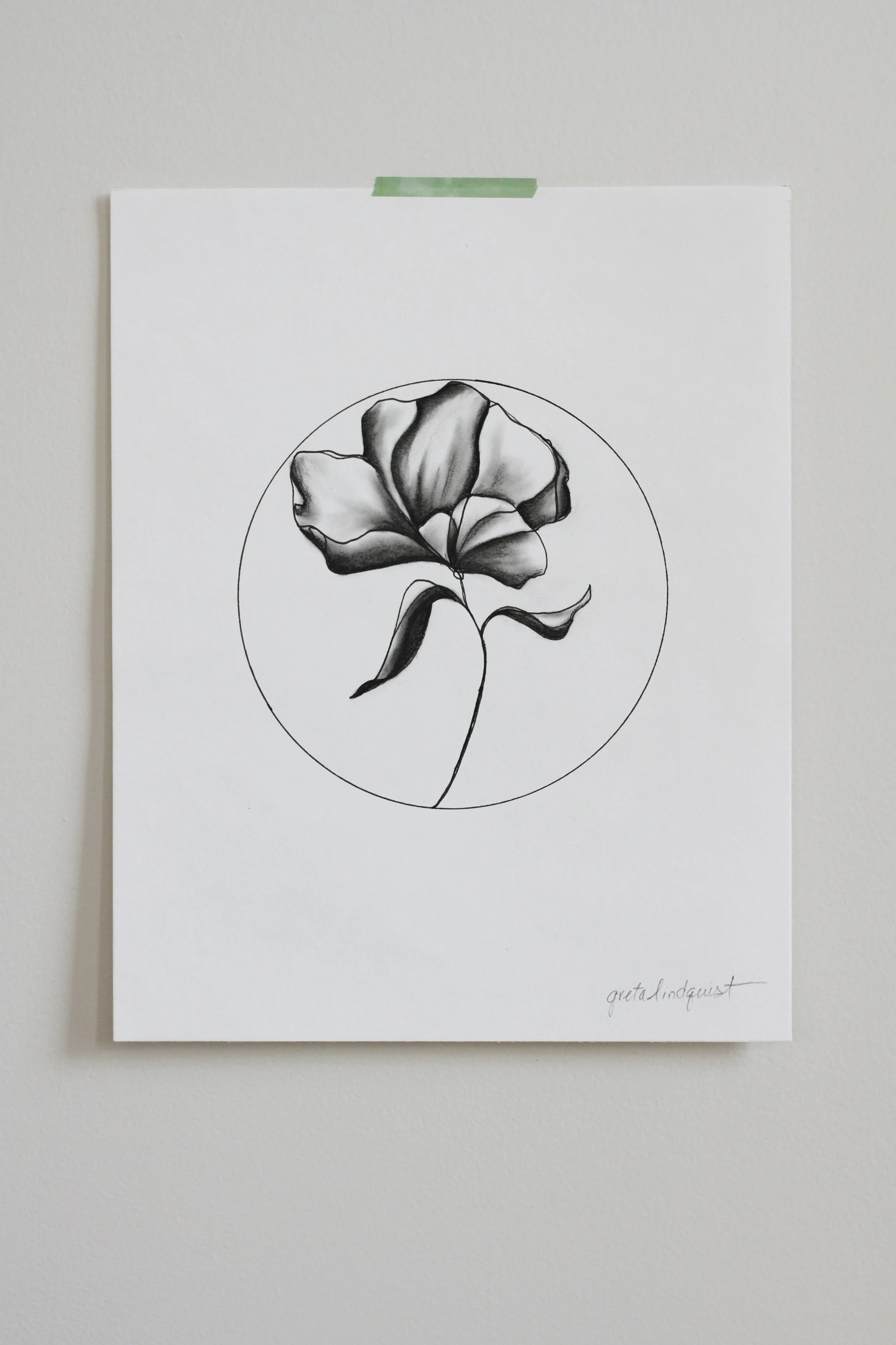 Peony Line Drawing - 8x10" vertical charcoal on paper