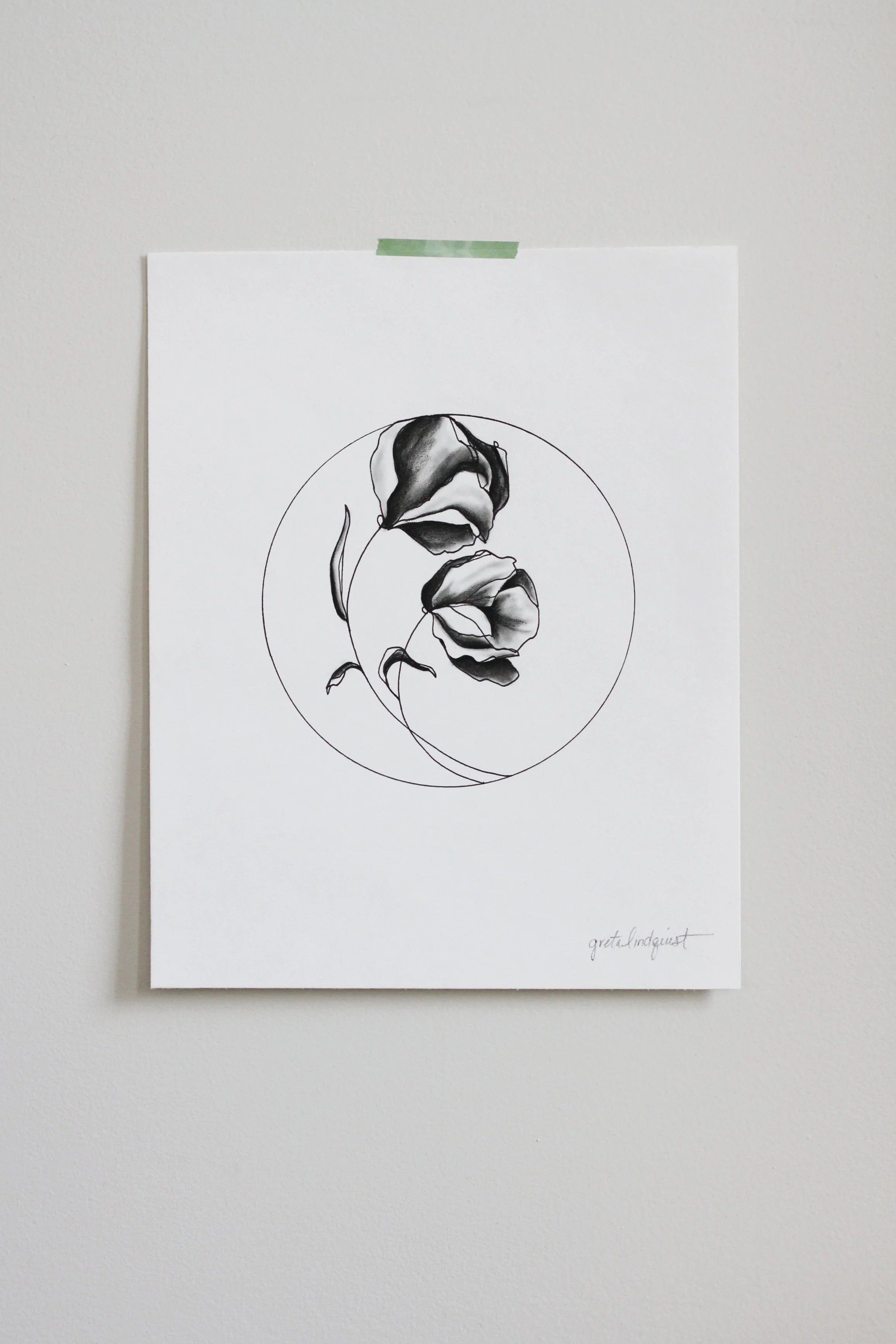 Peony Duo Line Drawing - 8x10" vertical charcoal on paper