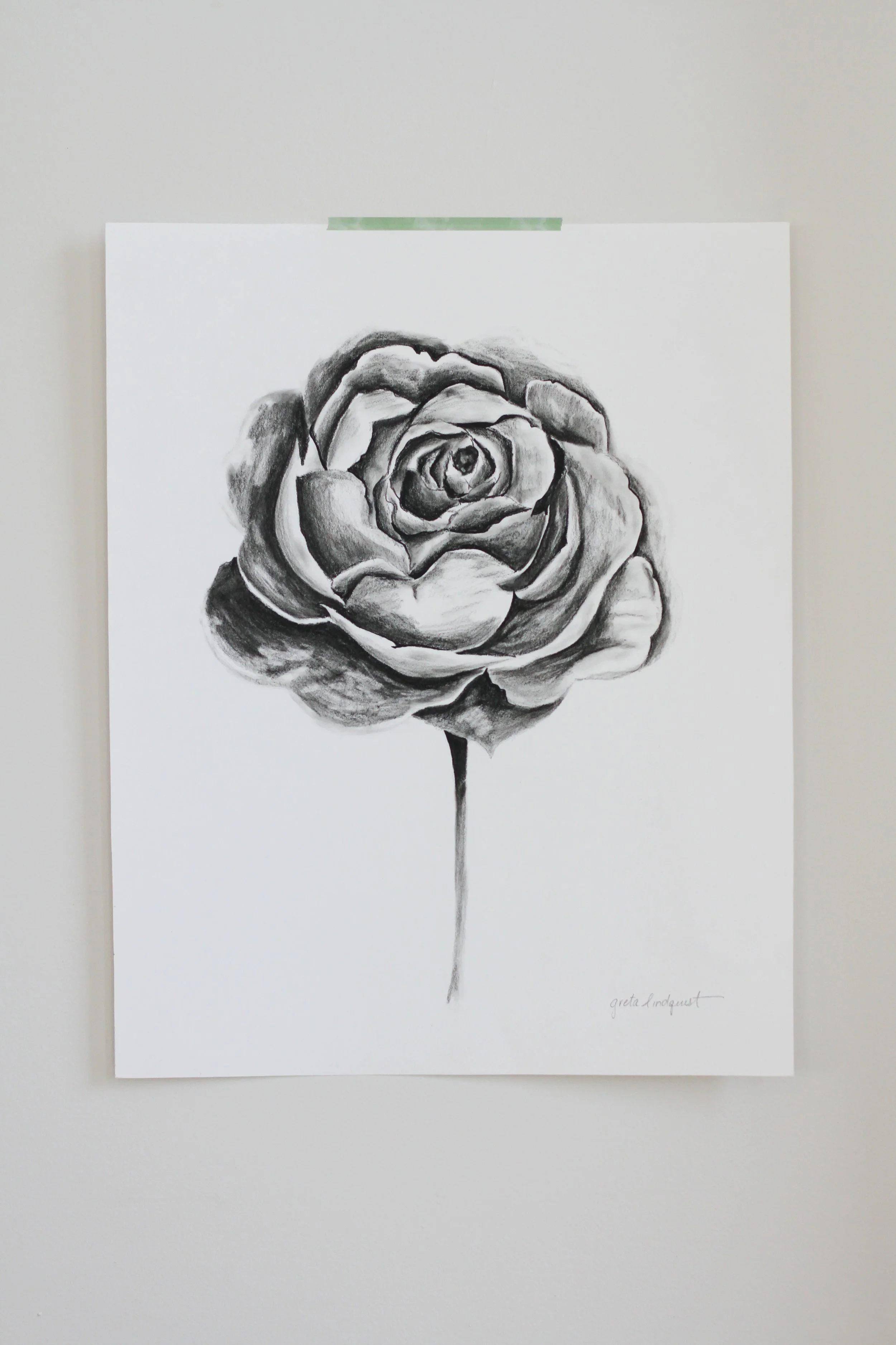 Rose - 12x15" vertical charcoal on paper