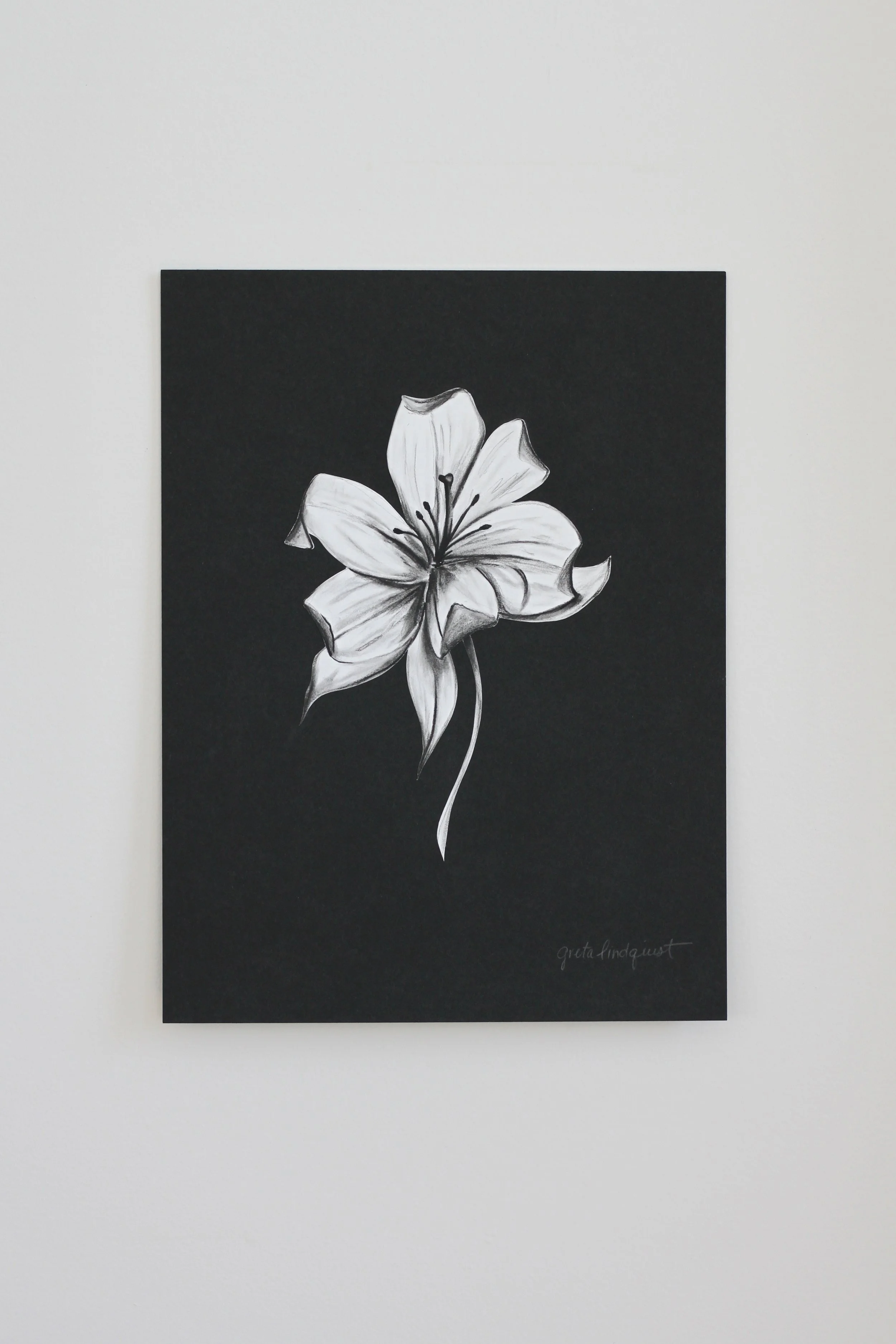 Lily - 9x12" vertical charcoal on paper