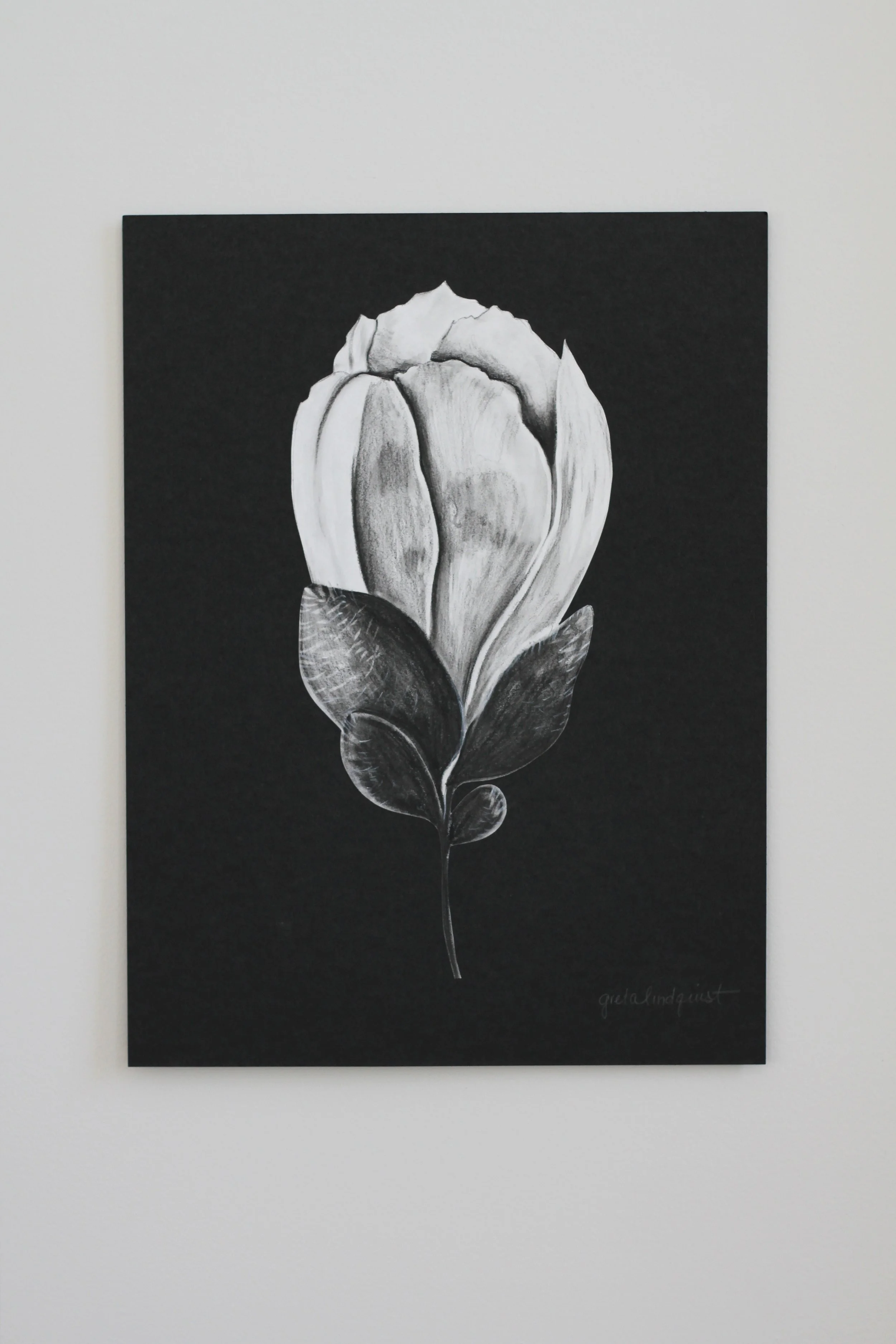 Magnolia Bud - 9x12" vertical charcoal on paper