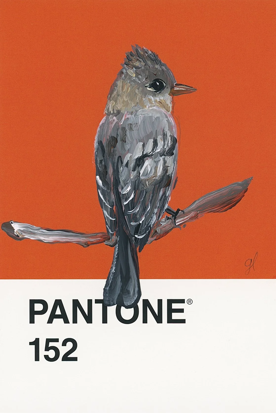 Pantone Day 14 - Eastern Wood-Pewee