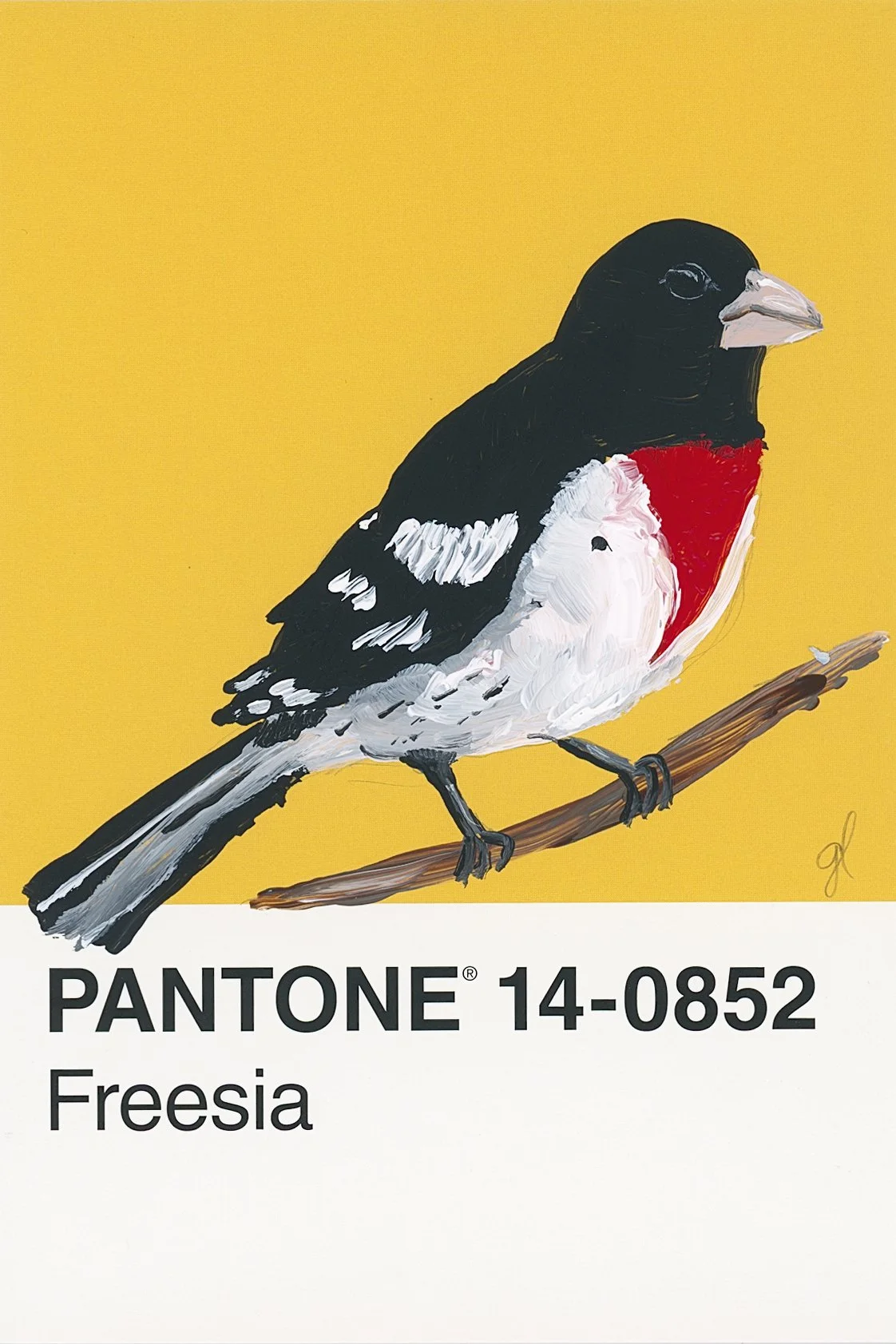 Pantone Day 27 - Rose-Breasted Grosbeak