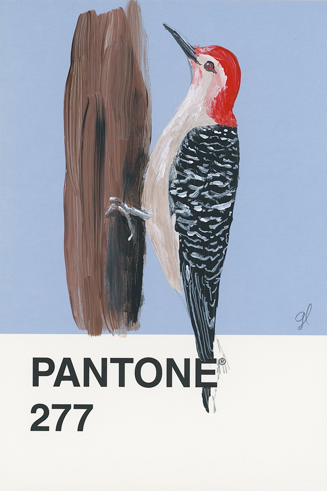 Pantone Day 40 - Red-Bellied Woodpecker