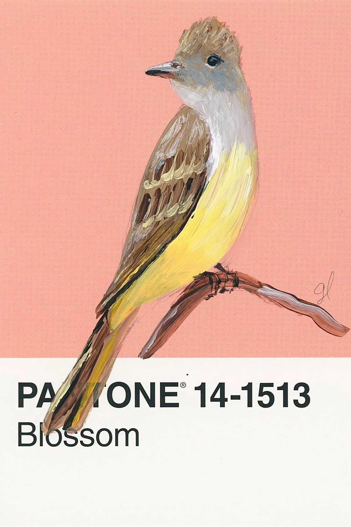 Pantone Day 47 - Great Crested Flycatcher