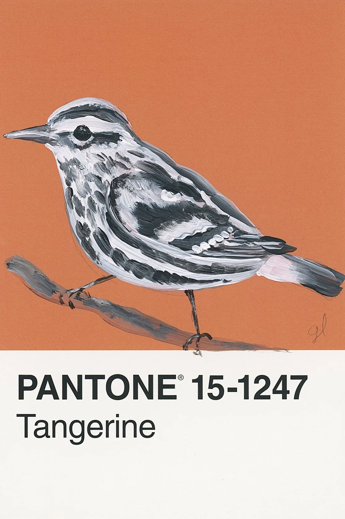 Pantone Day 48 - Black and White Warbler