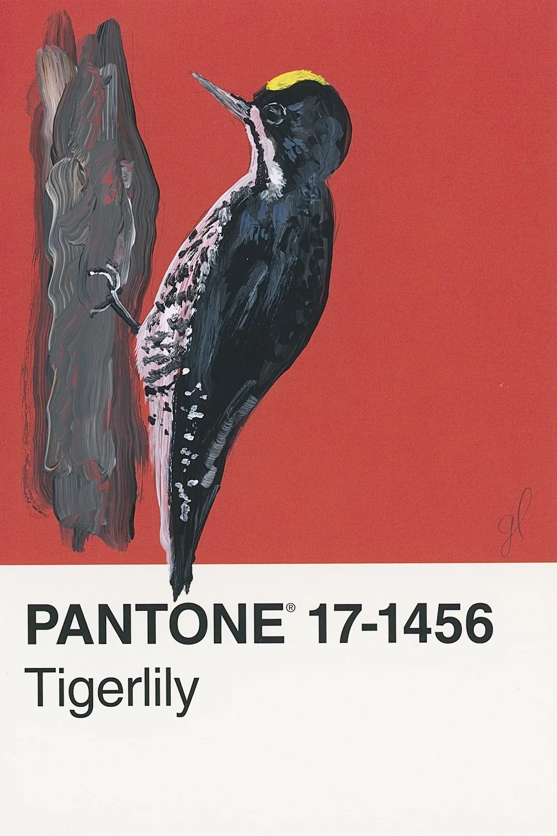 Pantone Day 54 - Black-Backed Woodpecker