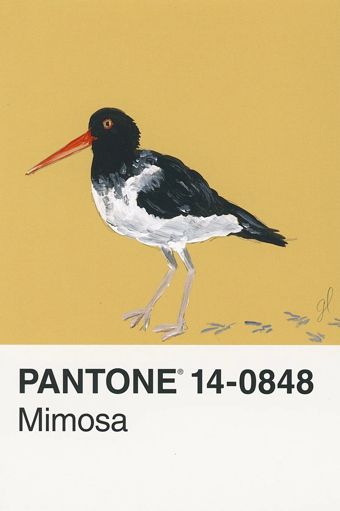 Pantone Day 59 - American Oyster Catcher
