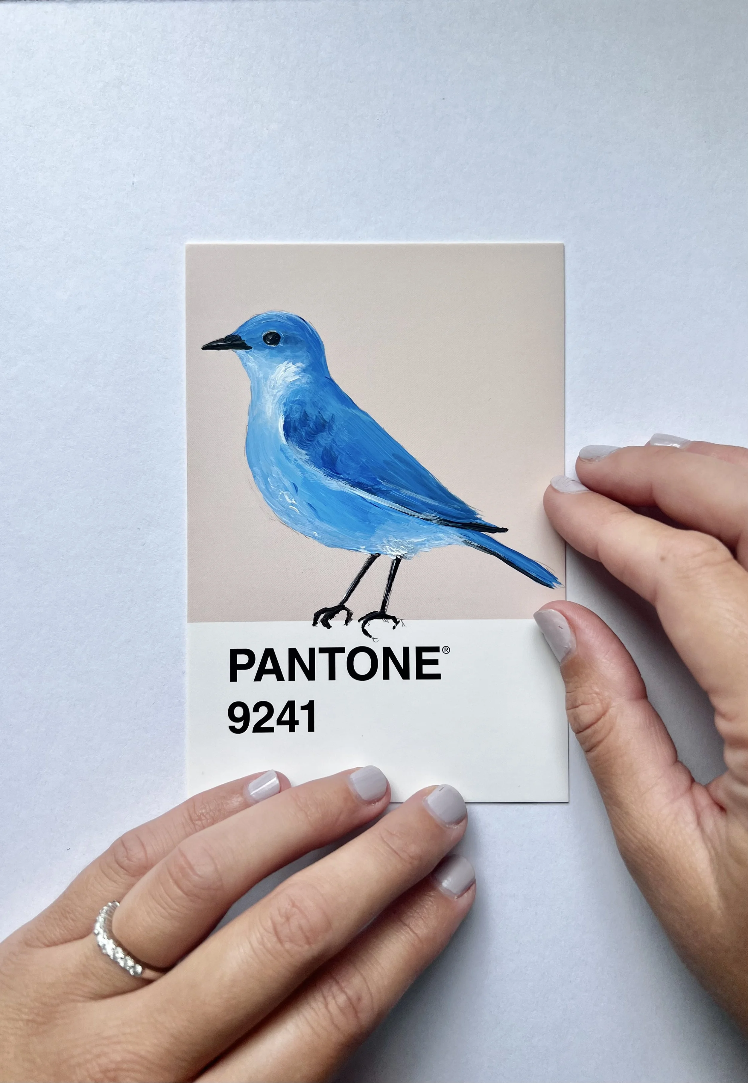 Pantone Day 74 - Mountain Bluebird