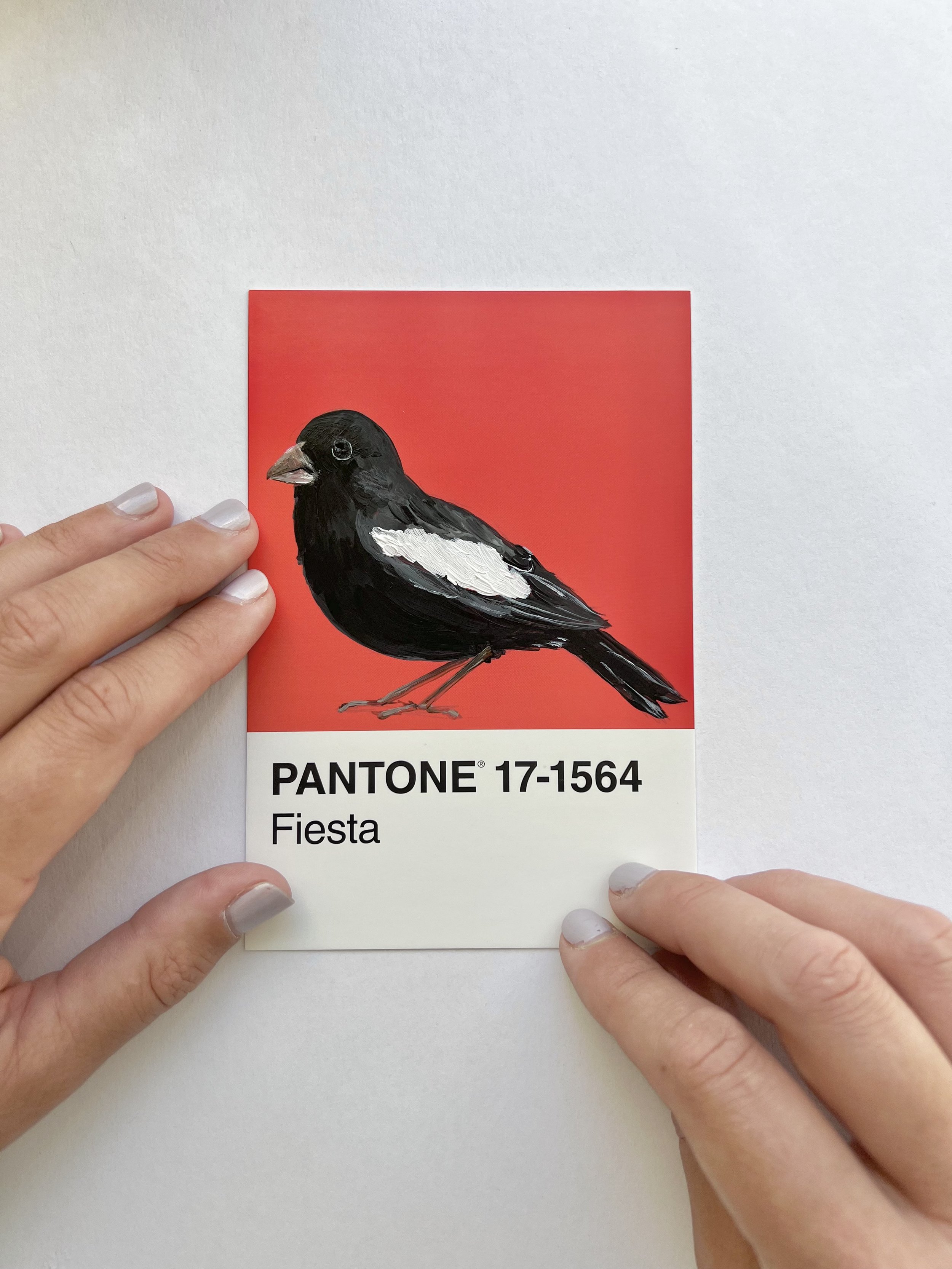 Pantone Day 76 - Lark Bunting