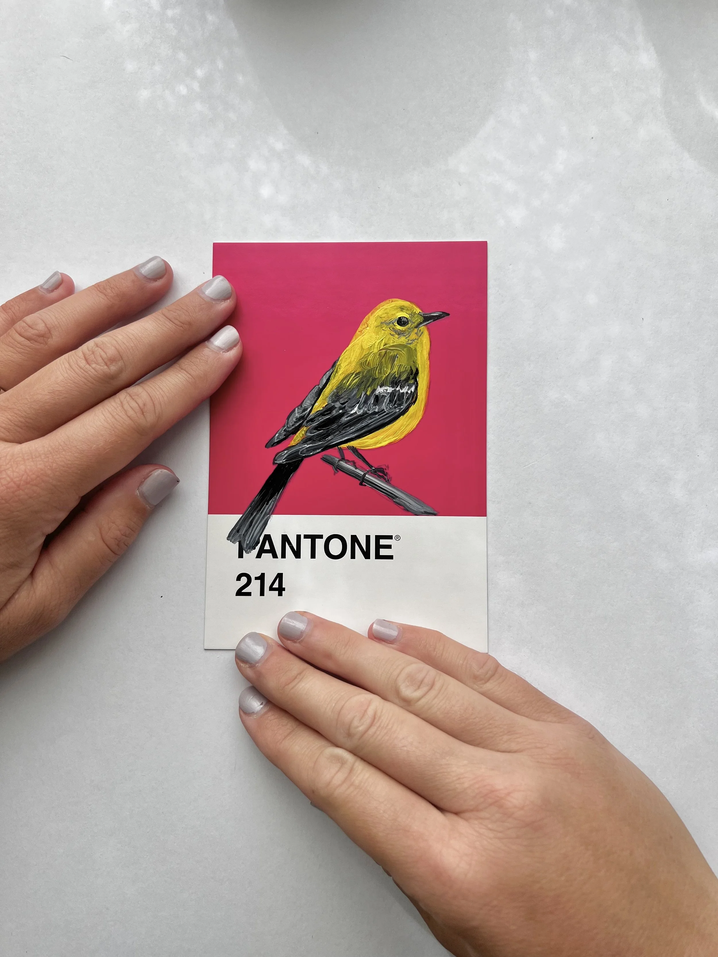 Pantone Day 77 - Pine Warbler