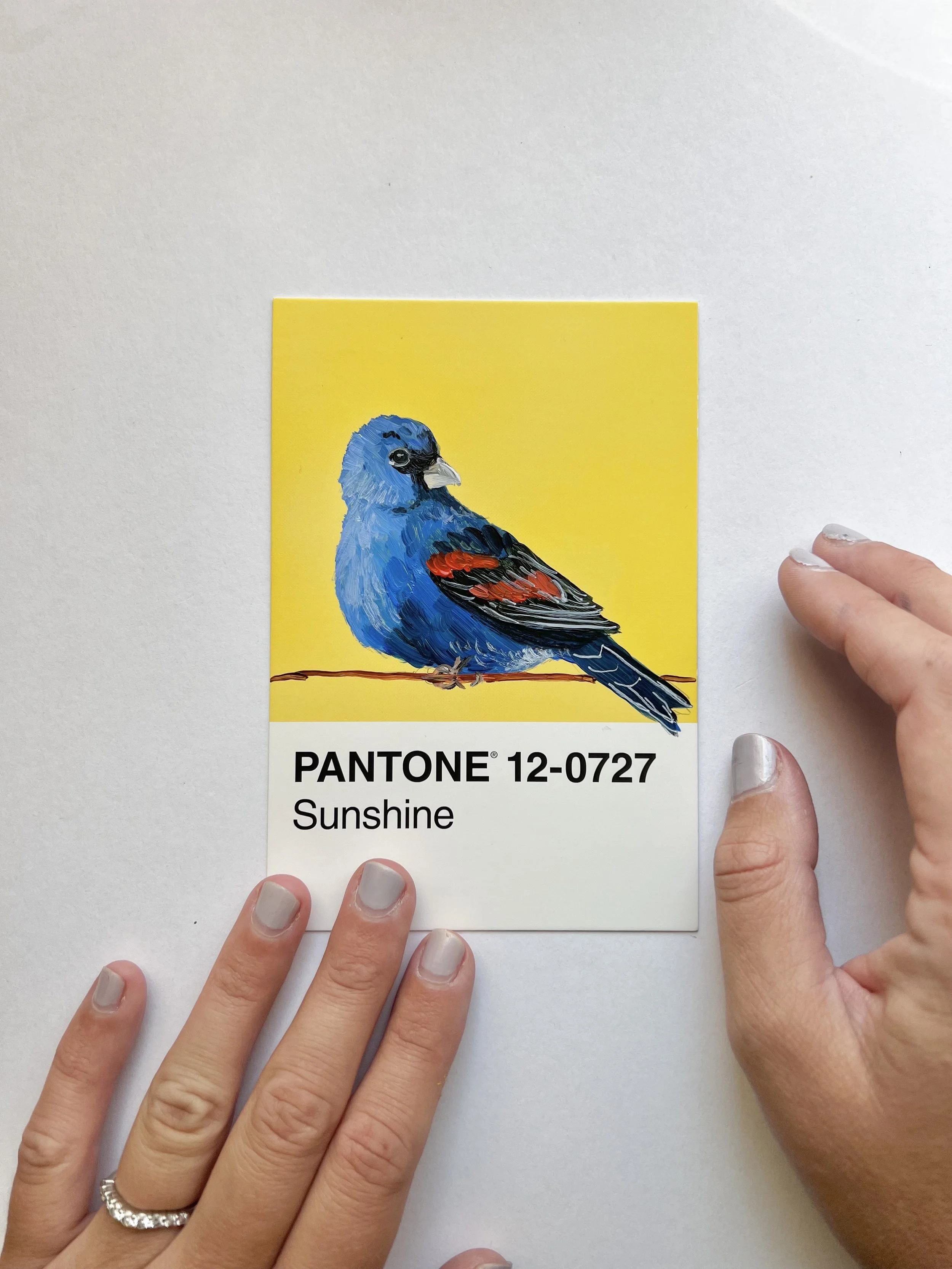 Pantone Day 78 - Blue Grosebeak