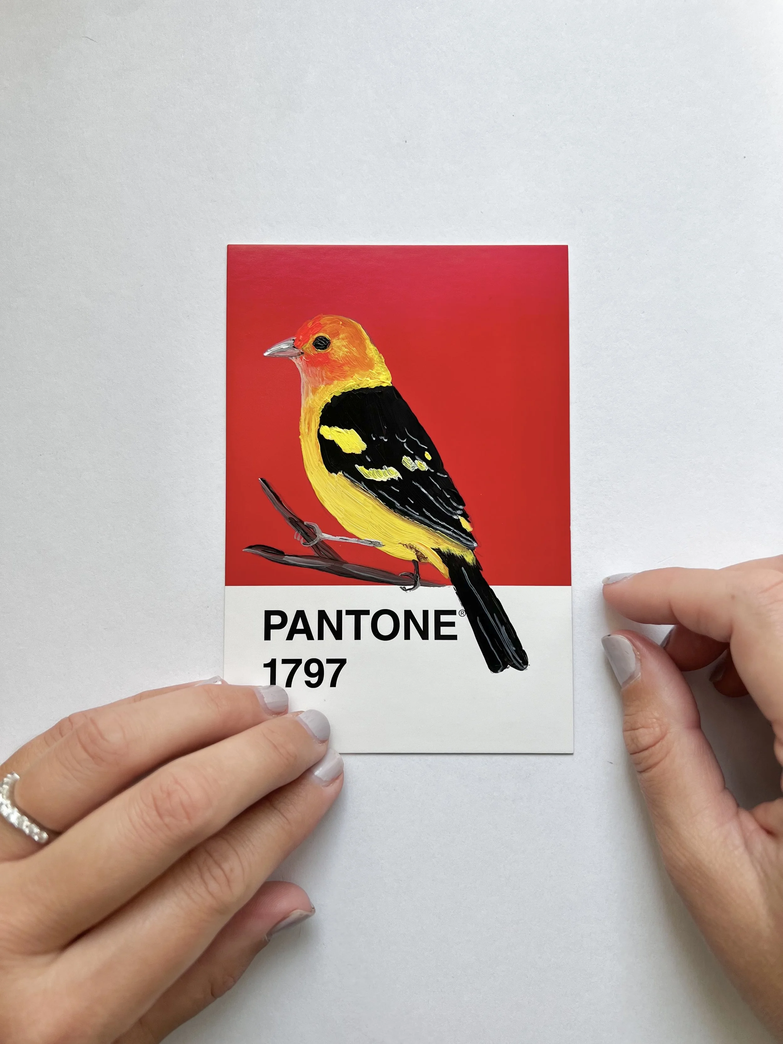 Pantone Day 79 - Western Tanager