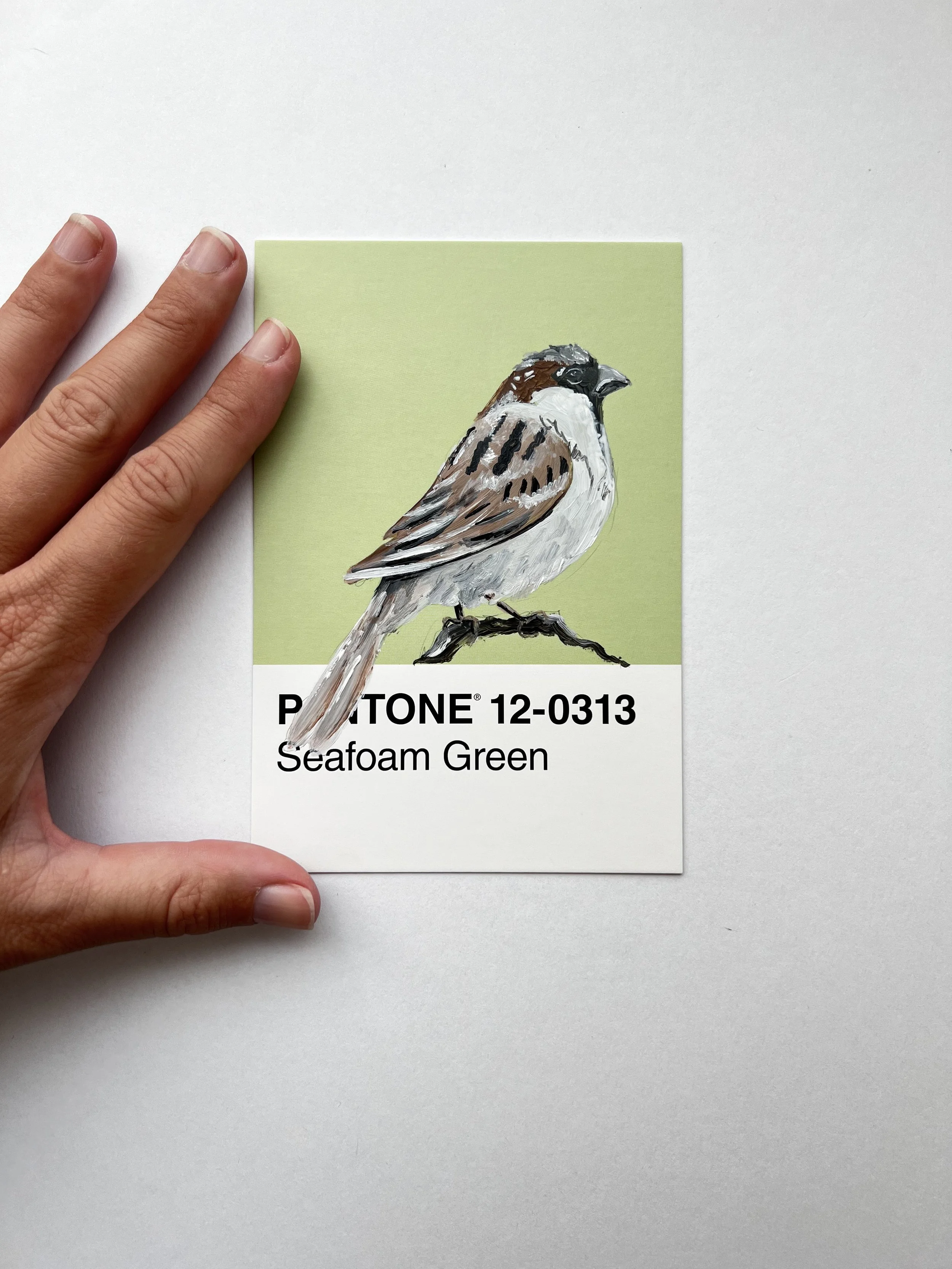 Pantone Day 80 - House Sparrow