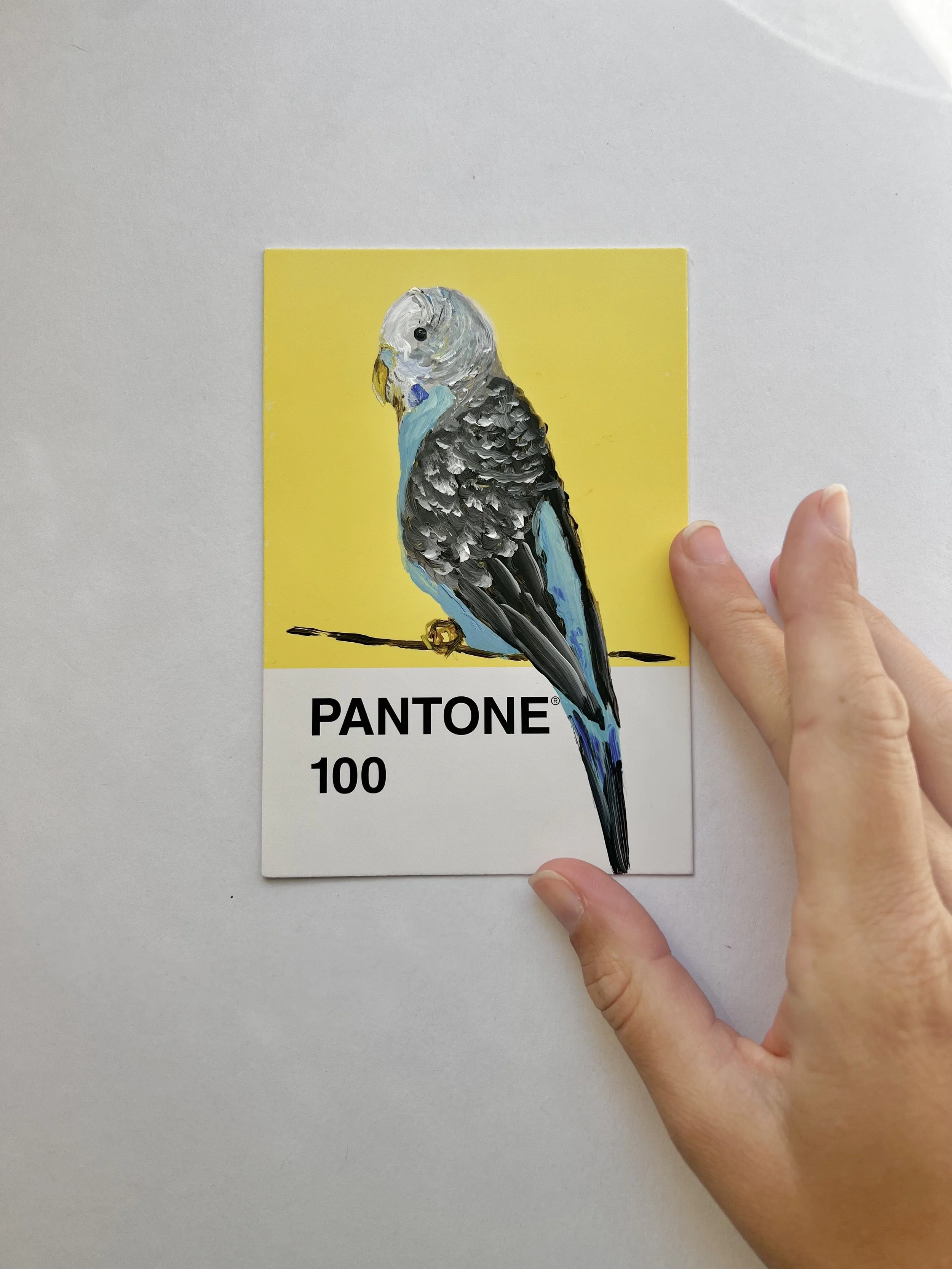 Pantone Day 86 - Blue Parakeet