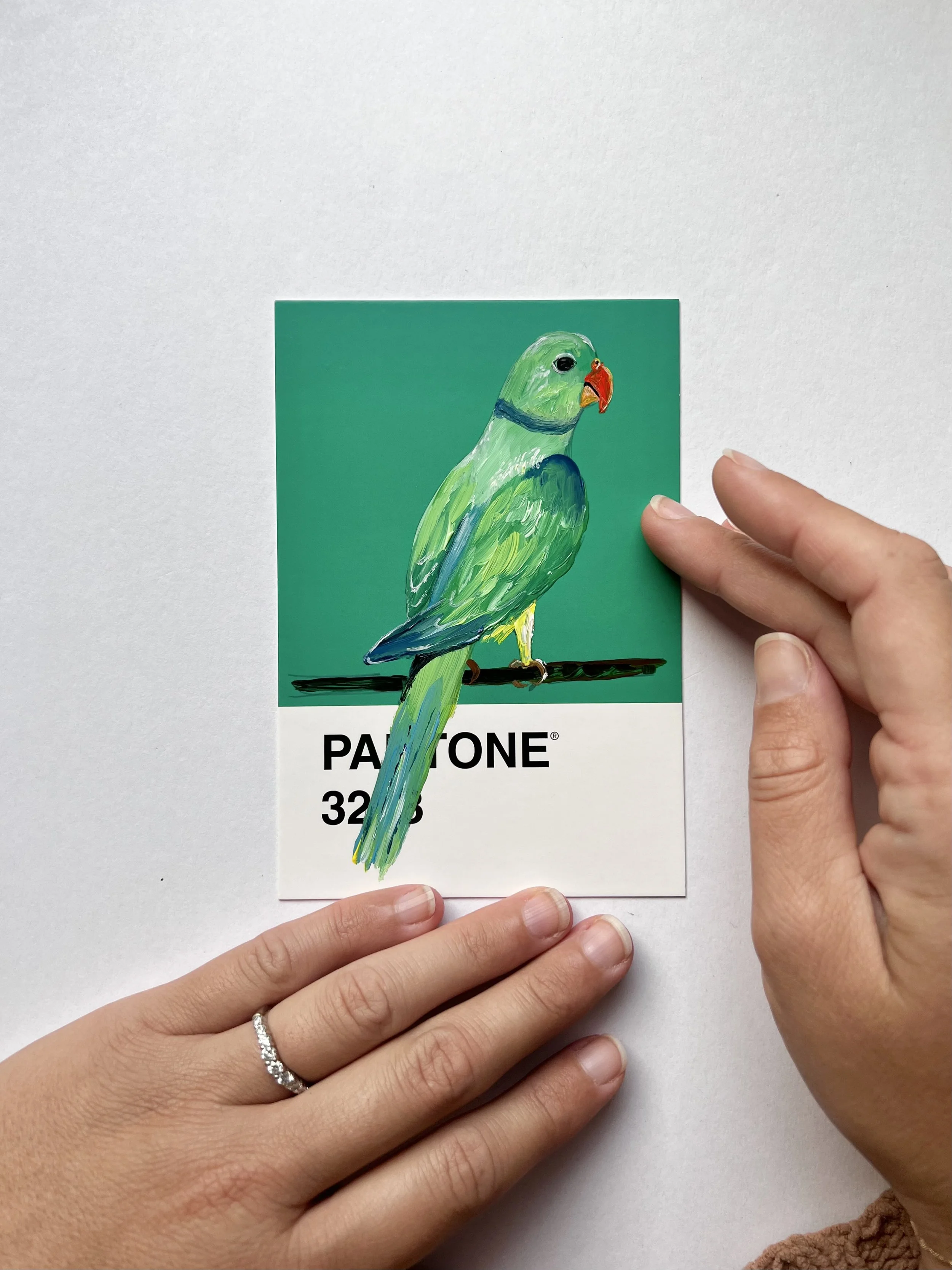 Pantone Day 87 - Malabar Parakeet