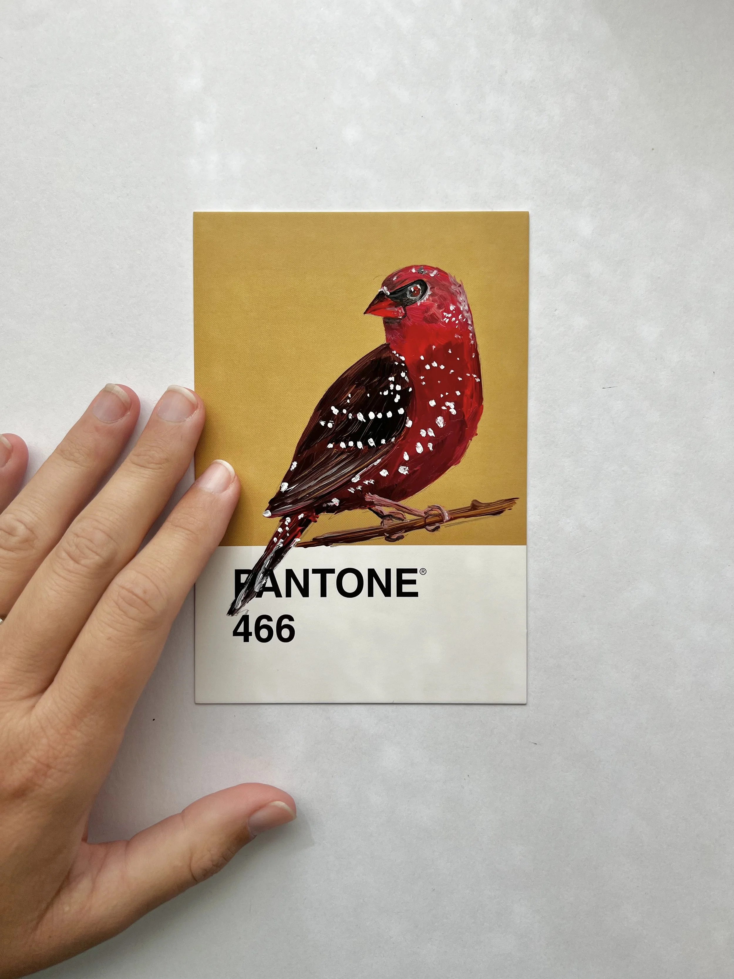 Pantone Day 91 - Strawberry Finch