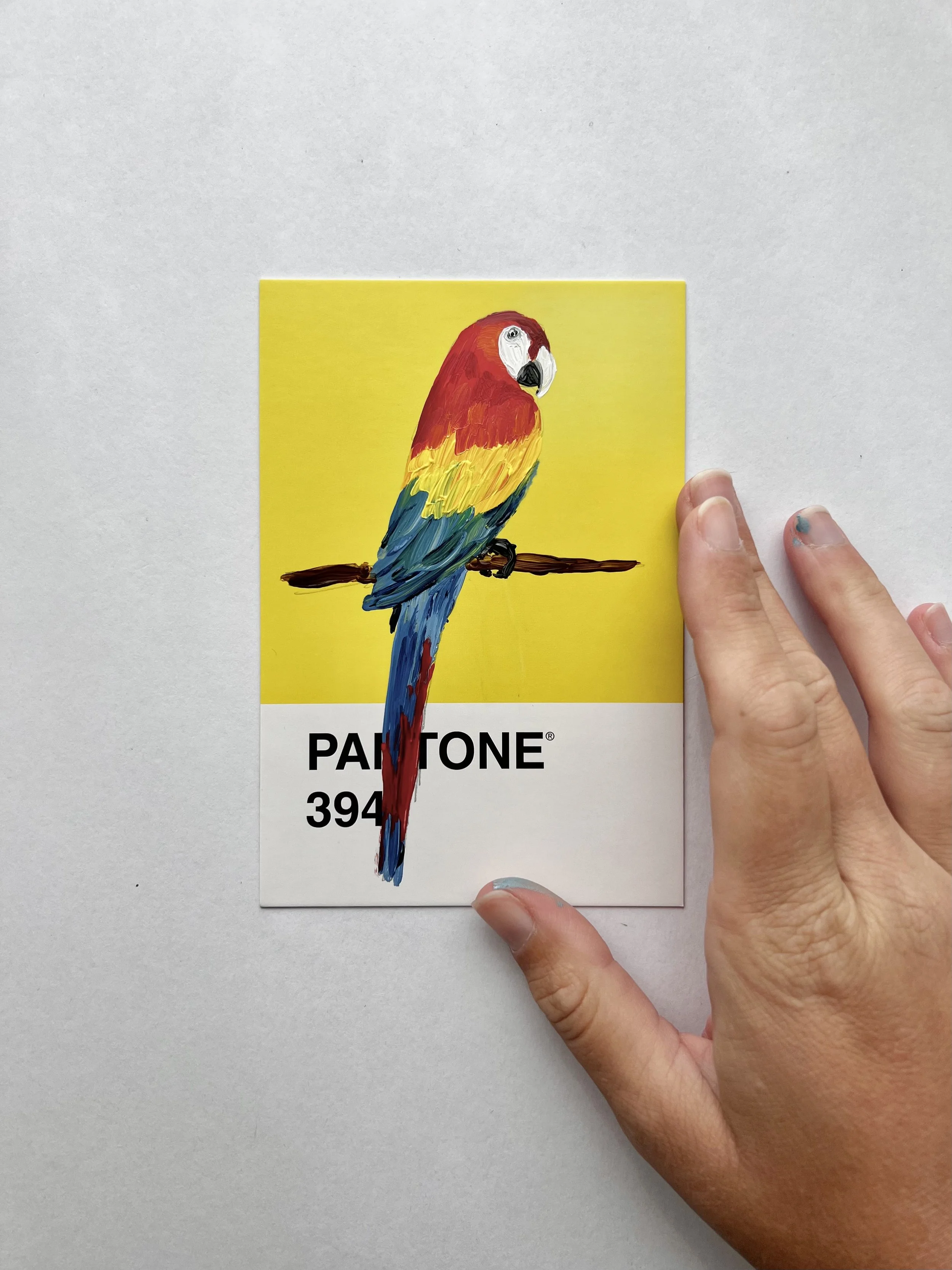 Pantone Day 92 - Macaw